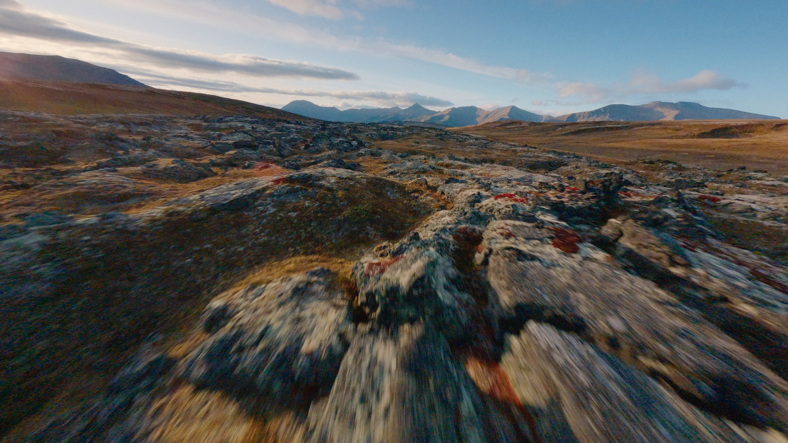 Leave a mark | Documentary. Ilia Ivanov