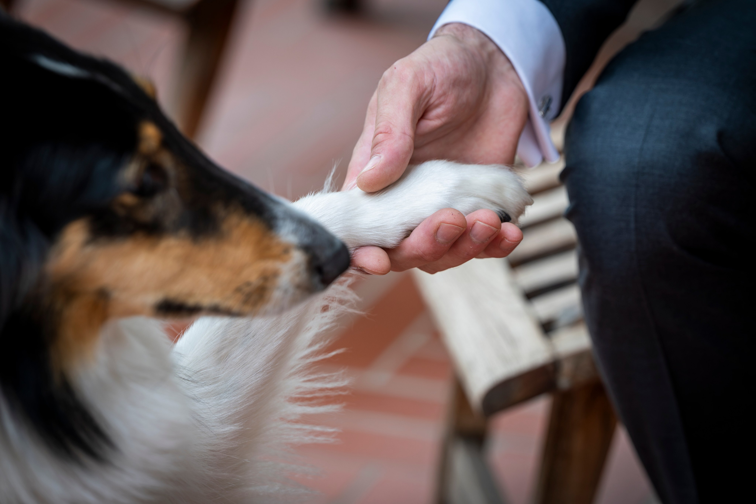 Matrimonio Francesca e Giorgio. “Gianmaria Coscia fotografo per passione”