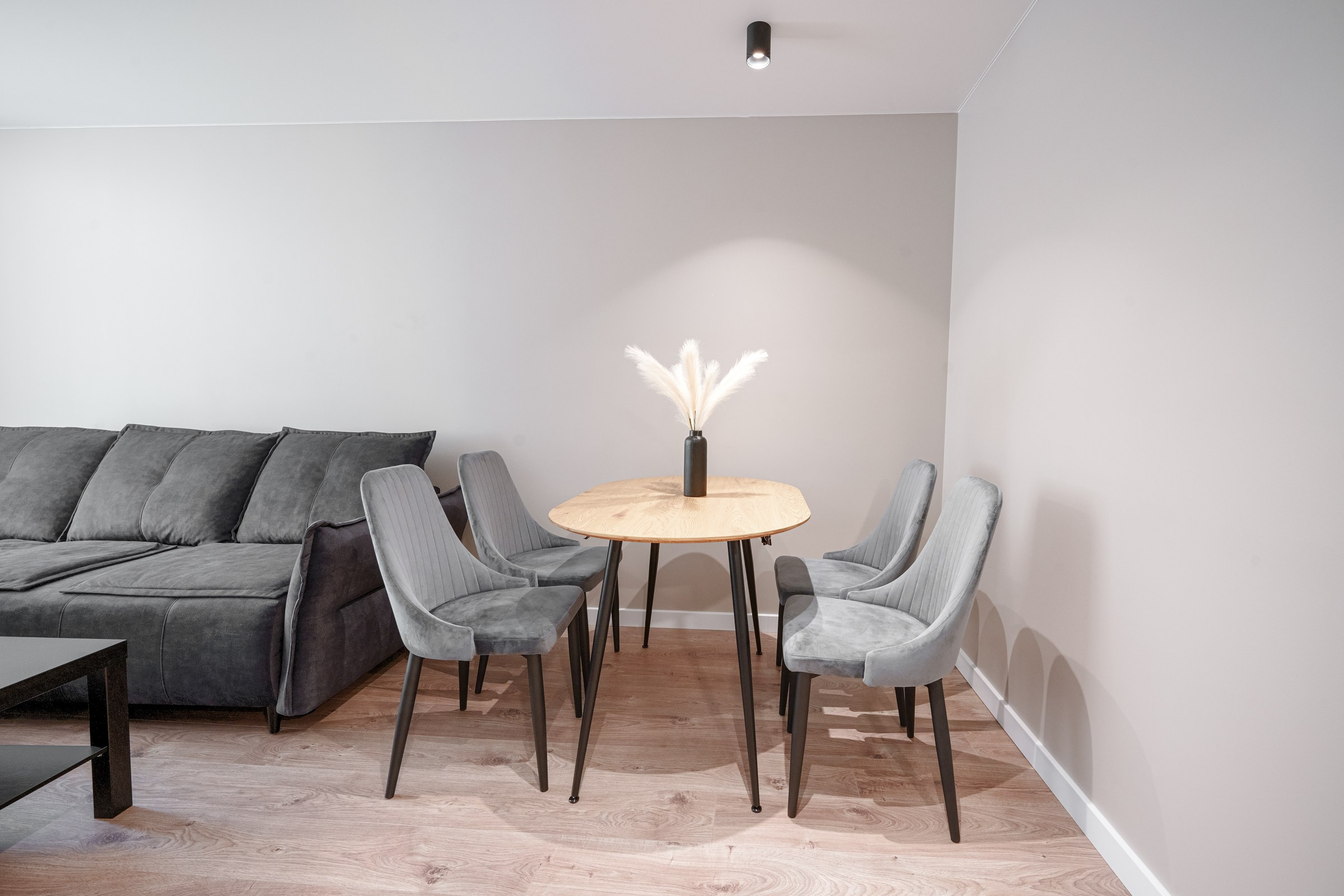 Tuskulėnų g. 8. Elina Sapiega fotografė Vilniuje