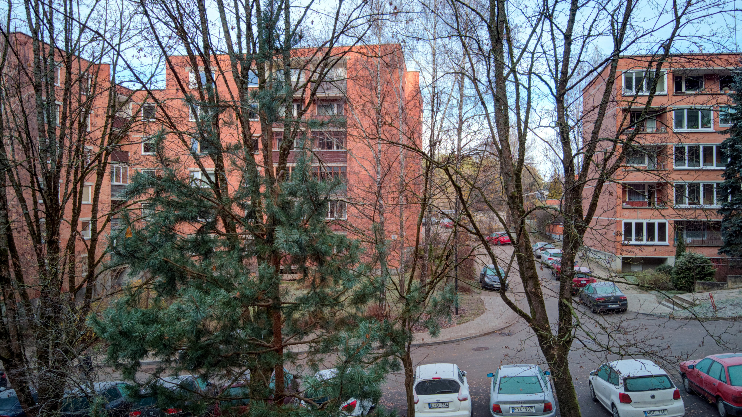 Dronas Antakalnis, Kanklių 10. Elina Sapiega fotografė Vilniuje