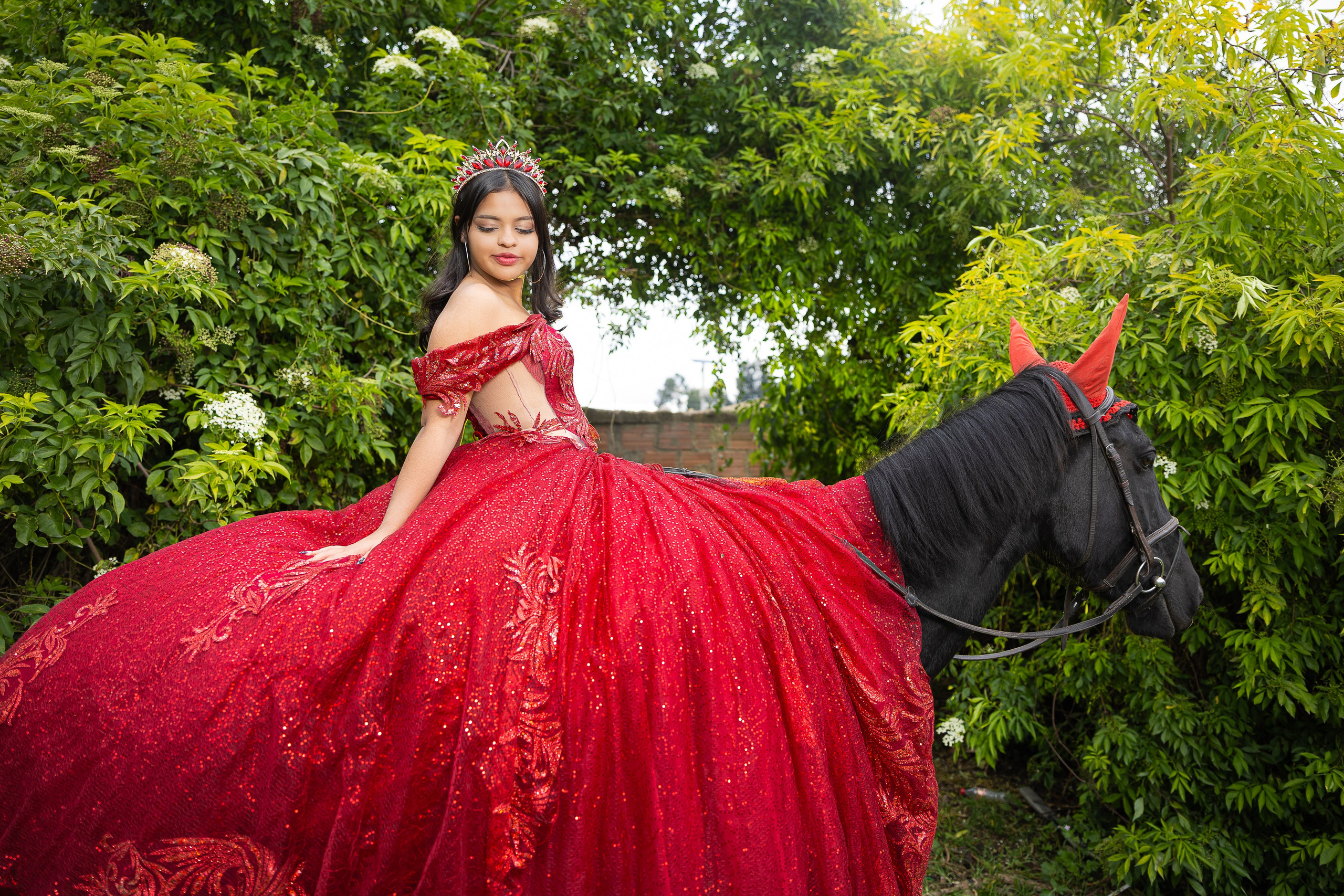Harnol Lopez - Fotografia de Quinces & Bodas