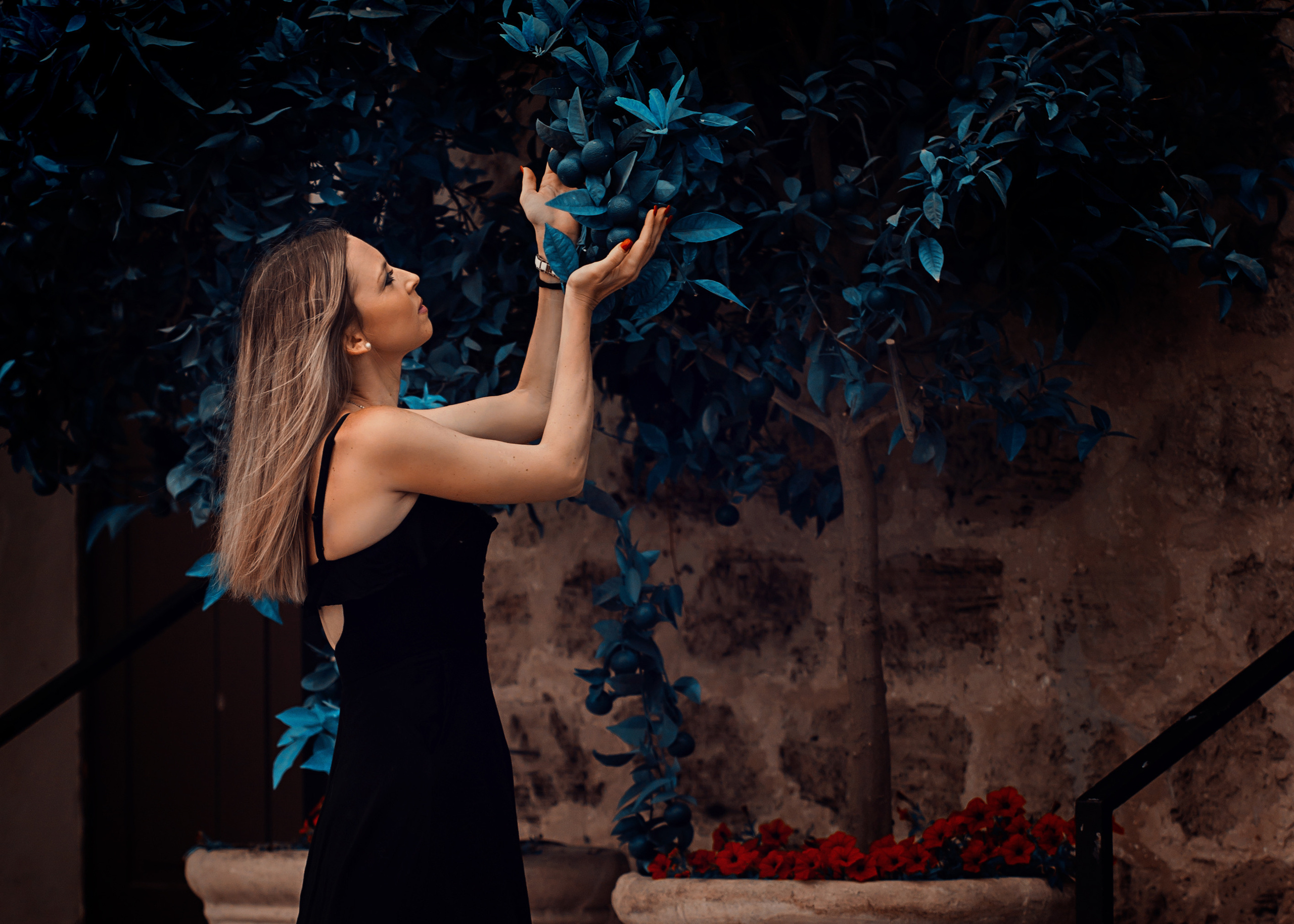 Алёна. Свадебный, семейный и детский фотограф в Нетании (Израиль) Тори Гор