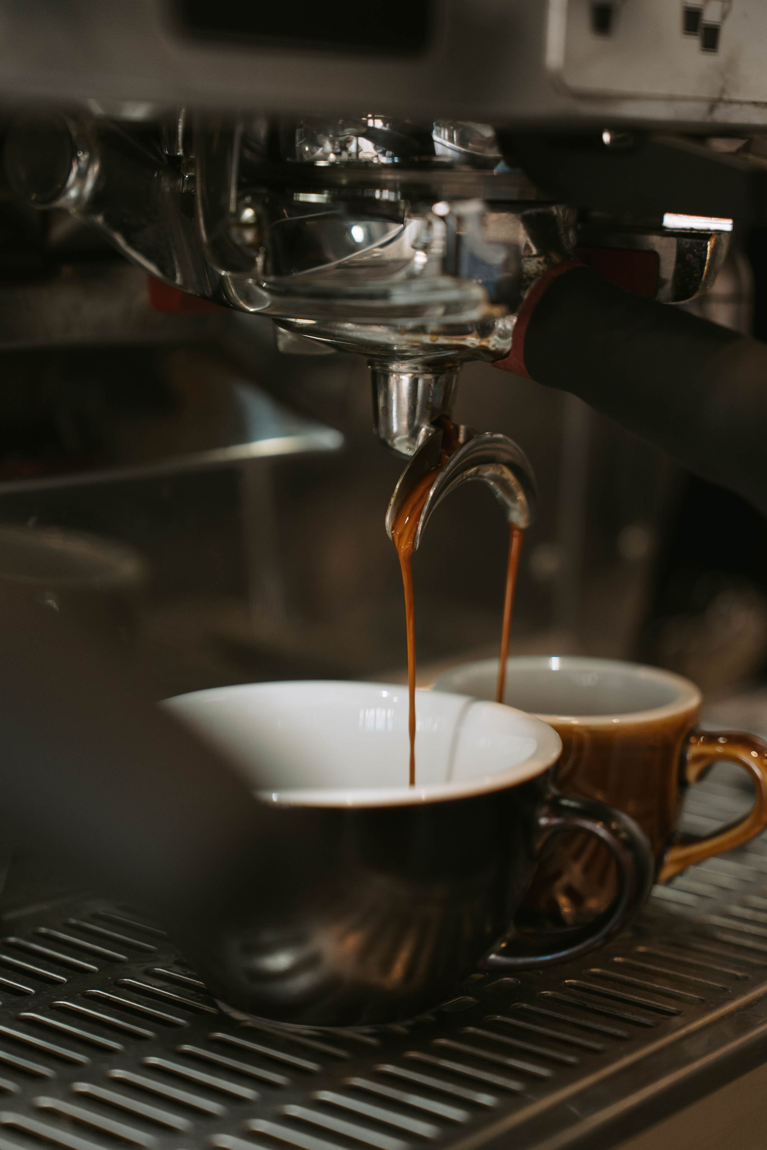 Café Bisette. Weeding photographer / event / portrait