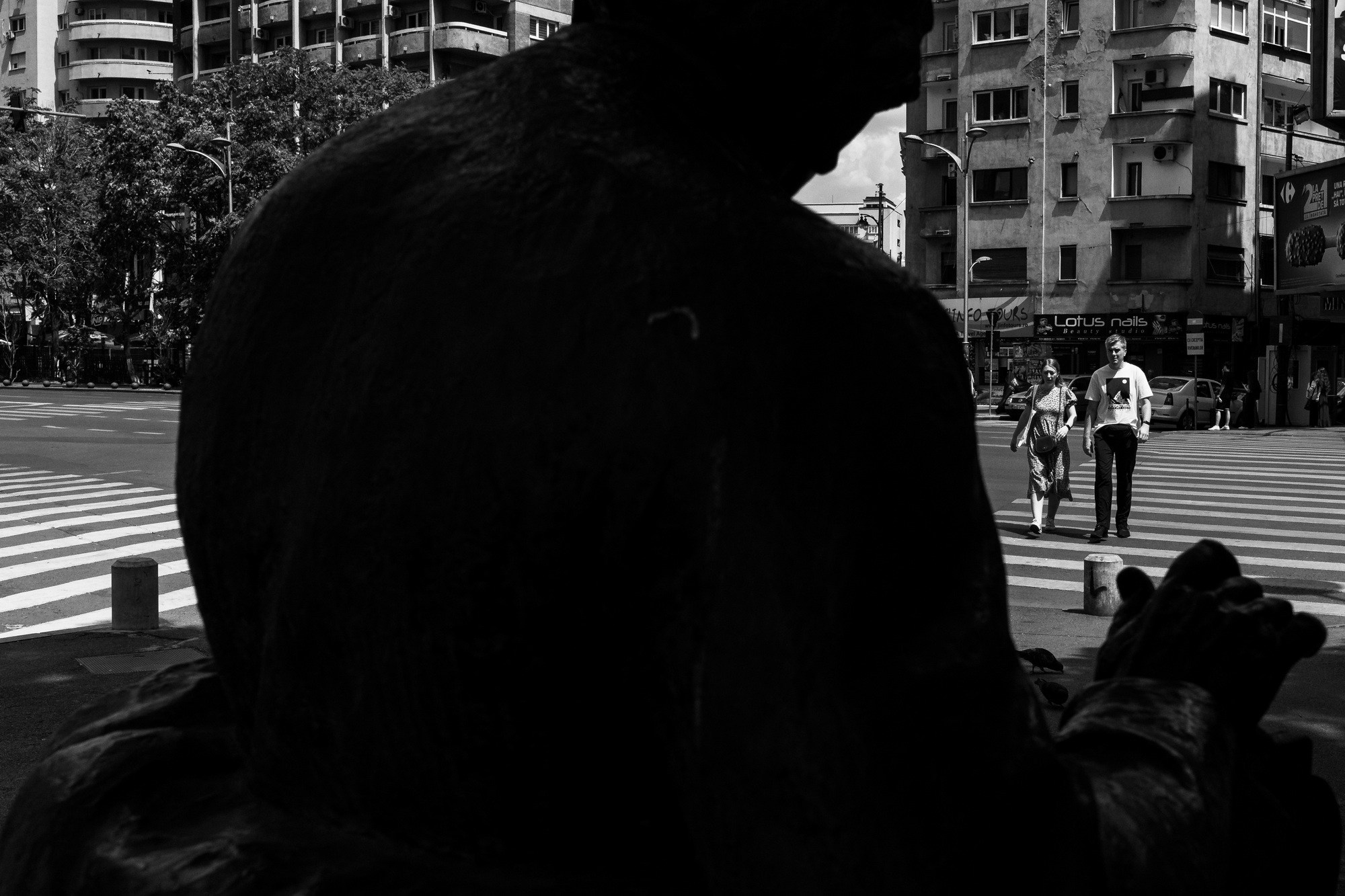 Monochrome. A Creative Insight | Catalin Nastase