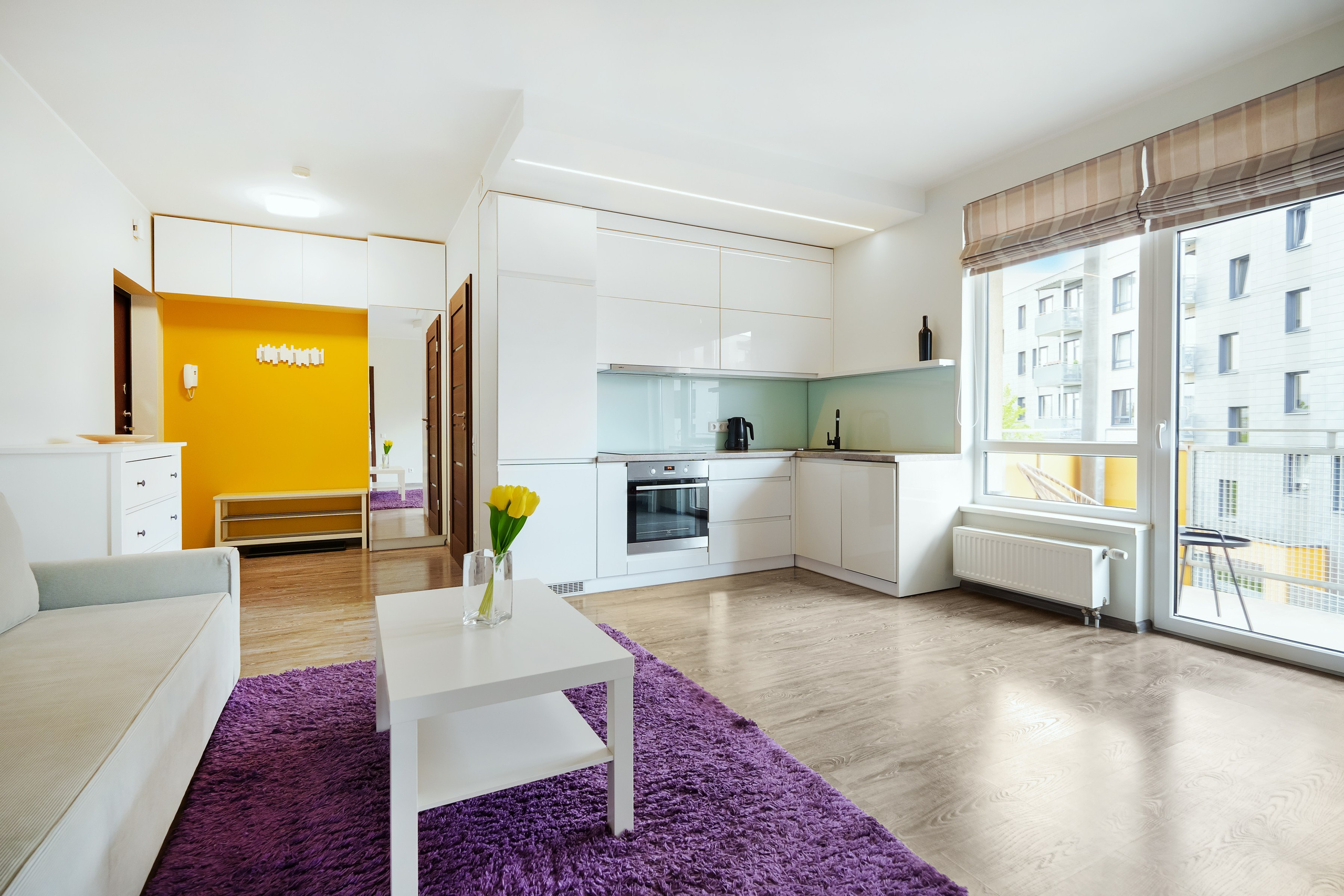 Balčikonio g. 7. Elina Sapiega fotografė Vilniuje