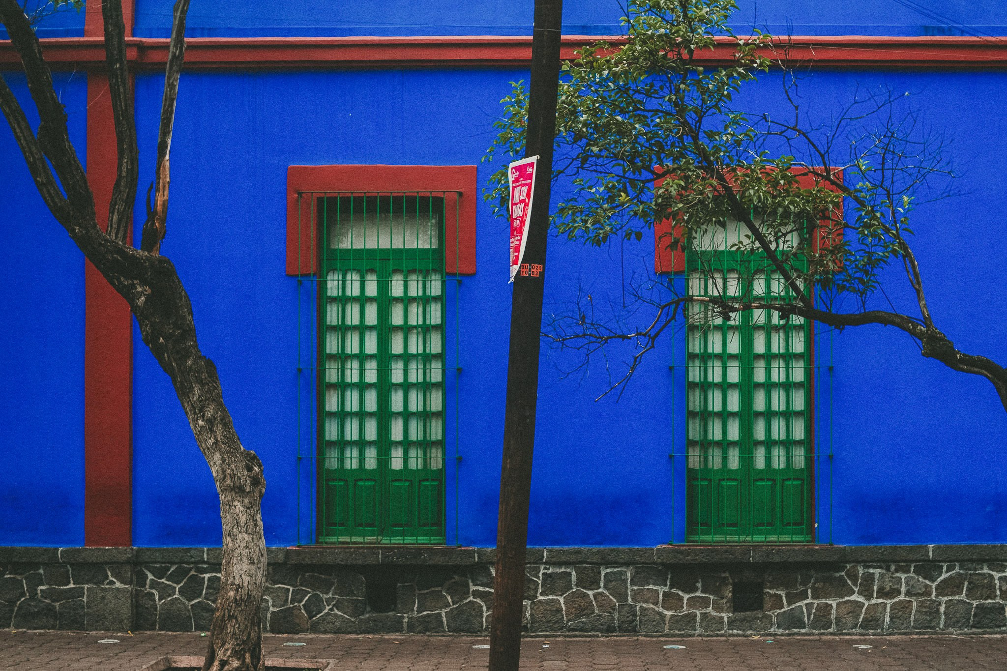 Pam & Cesar. Wedding and family photographer in Mexico City