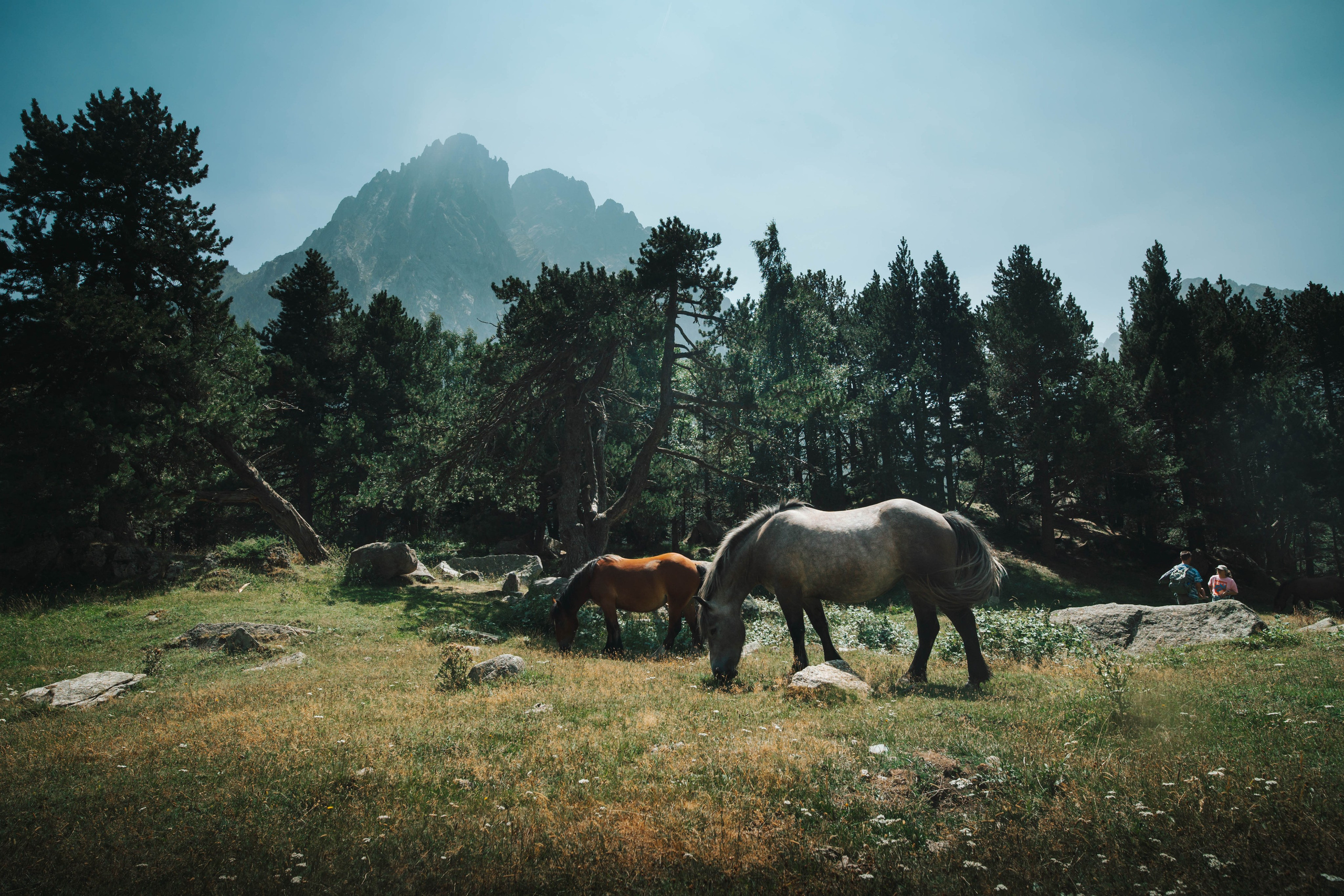 Parque Nacional de Aigüestortes y Estany de Sant Maurici. Alba del Norte Studio
