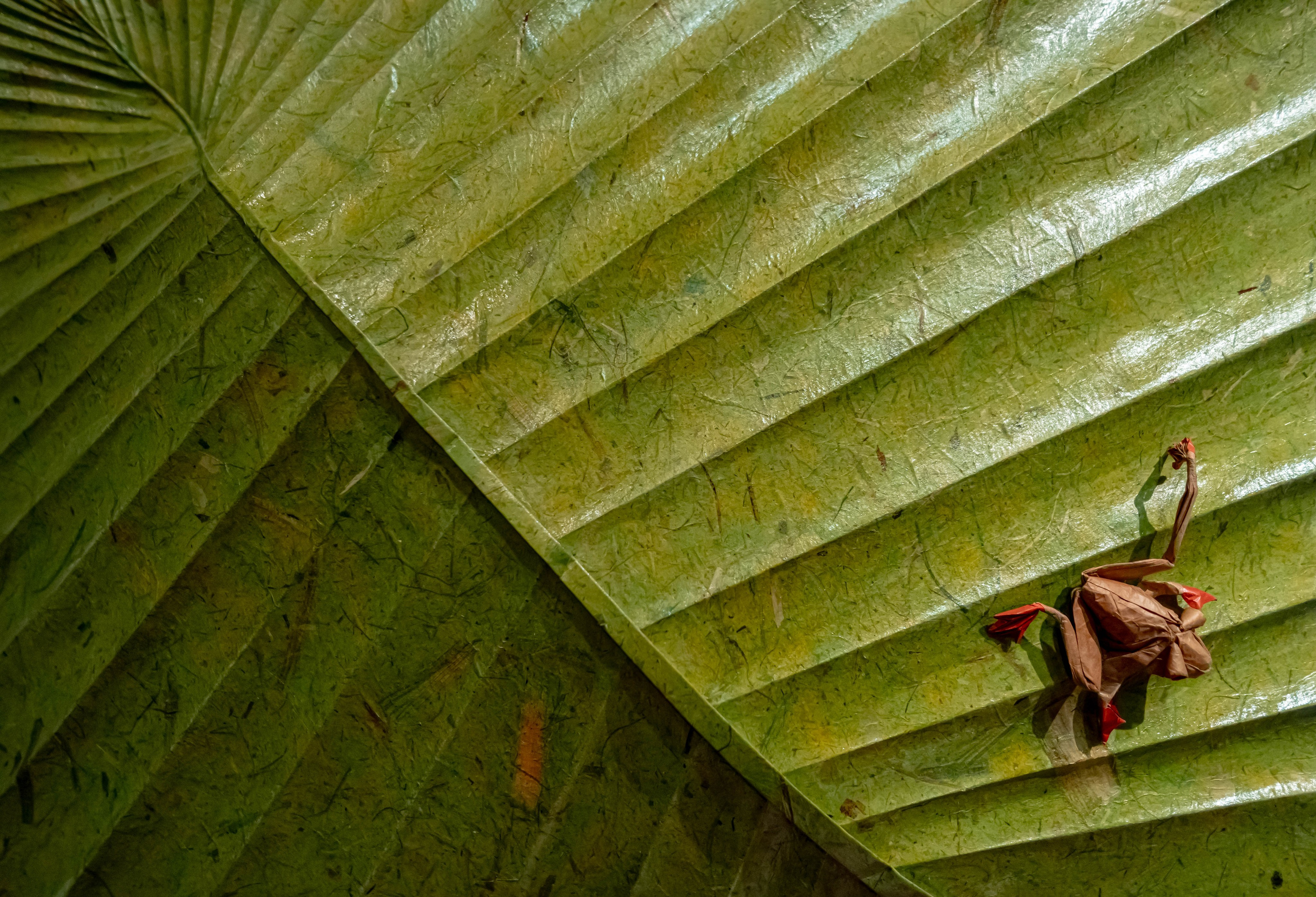 Museo de origami, Zaragoza. Alba del Norte Studio