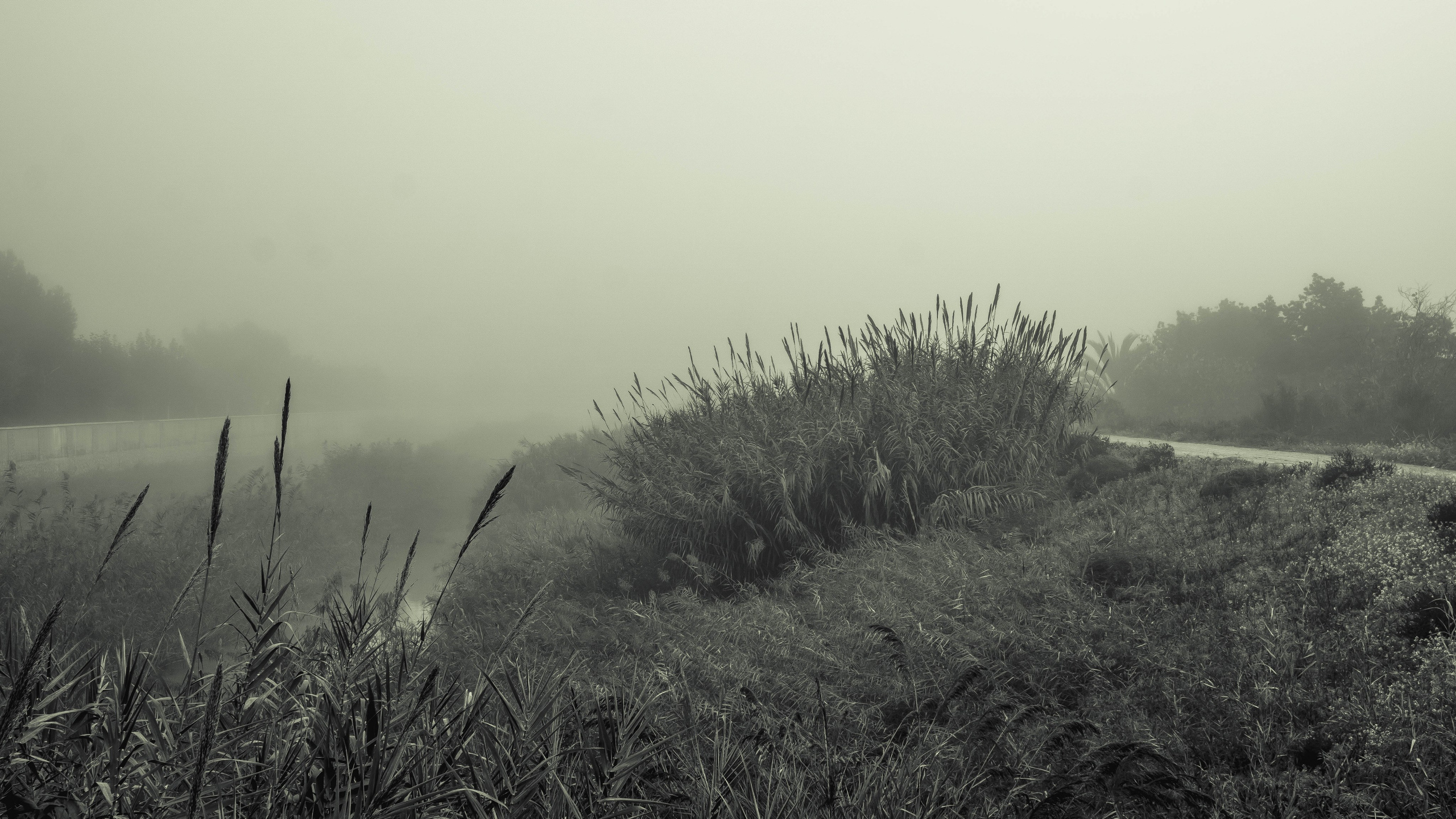 Rojales. Alba del Norte Studio