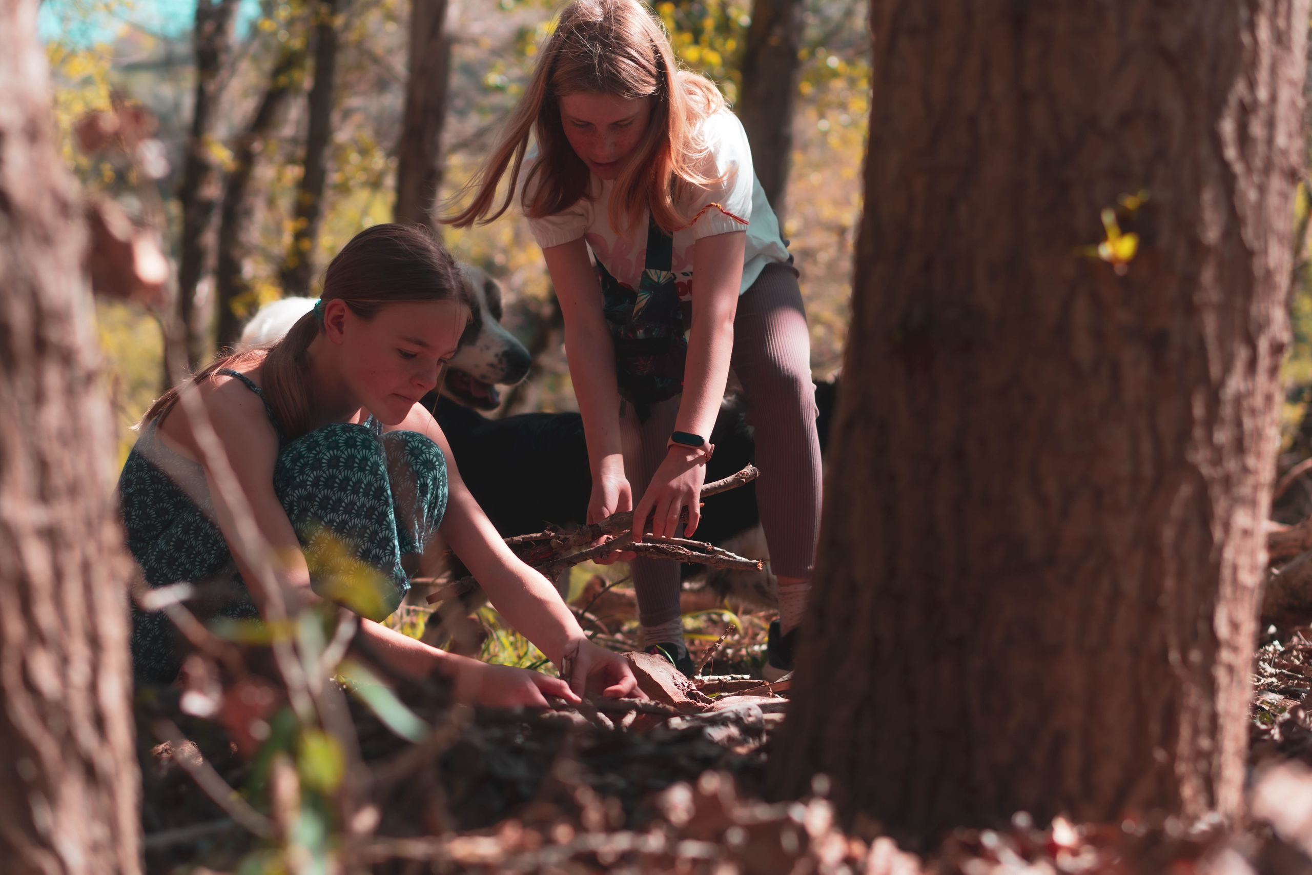 Noa&Agnia. Alba del Norte Studio