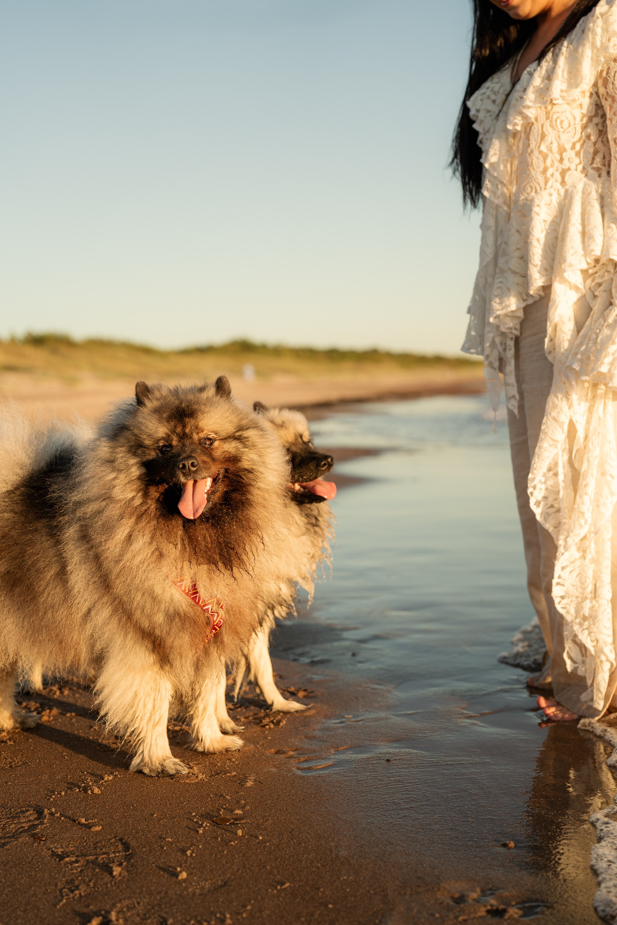 Rūta, Mindaugas, Yuma ir Meila. Vita Klimaševska ○ Fluffy Soulmate Photography