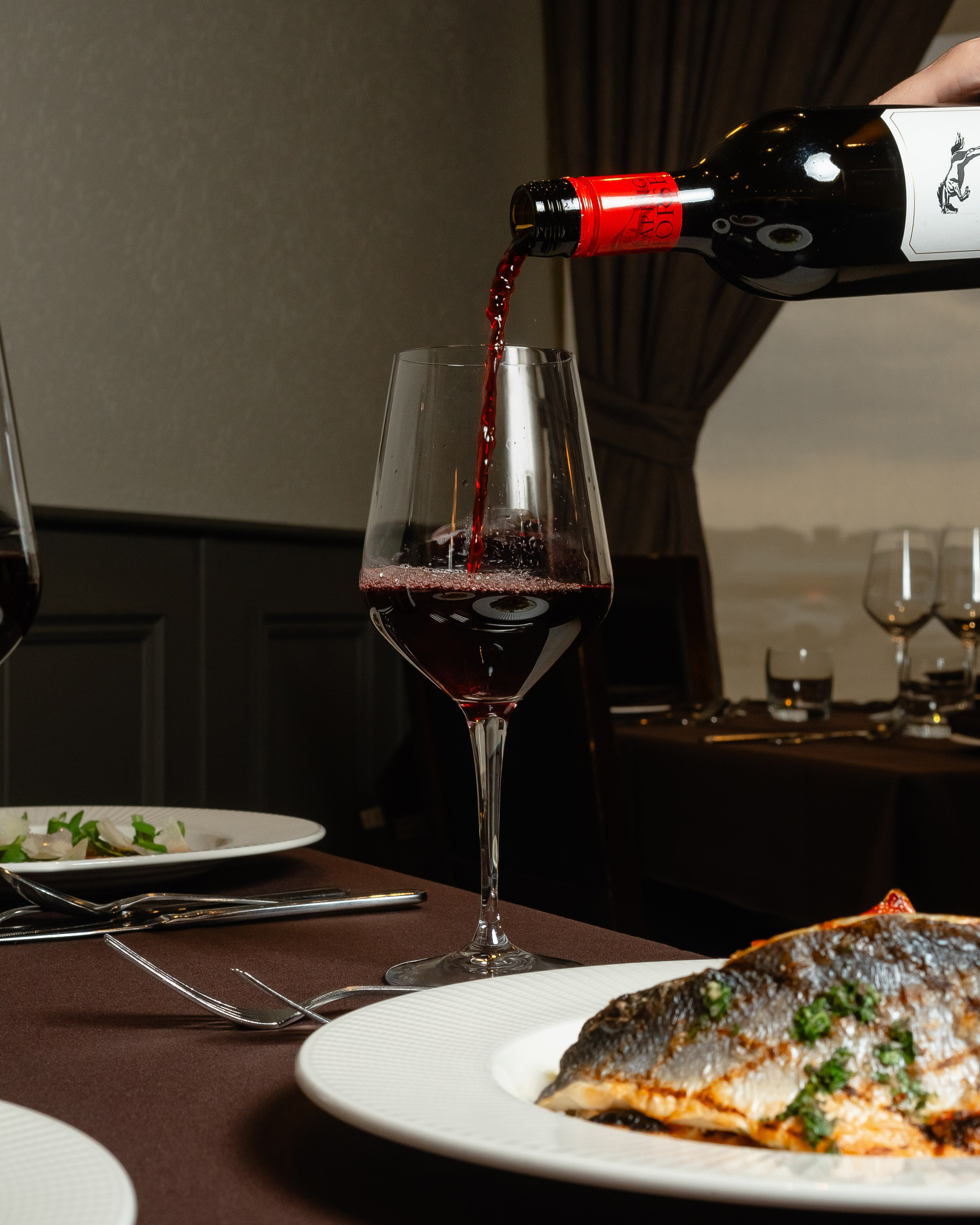 Luna. Welcome to my video and photo world!