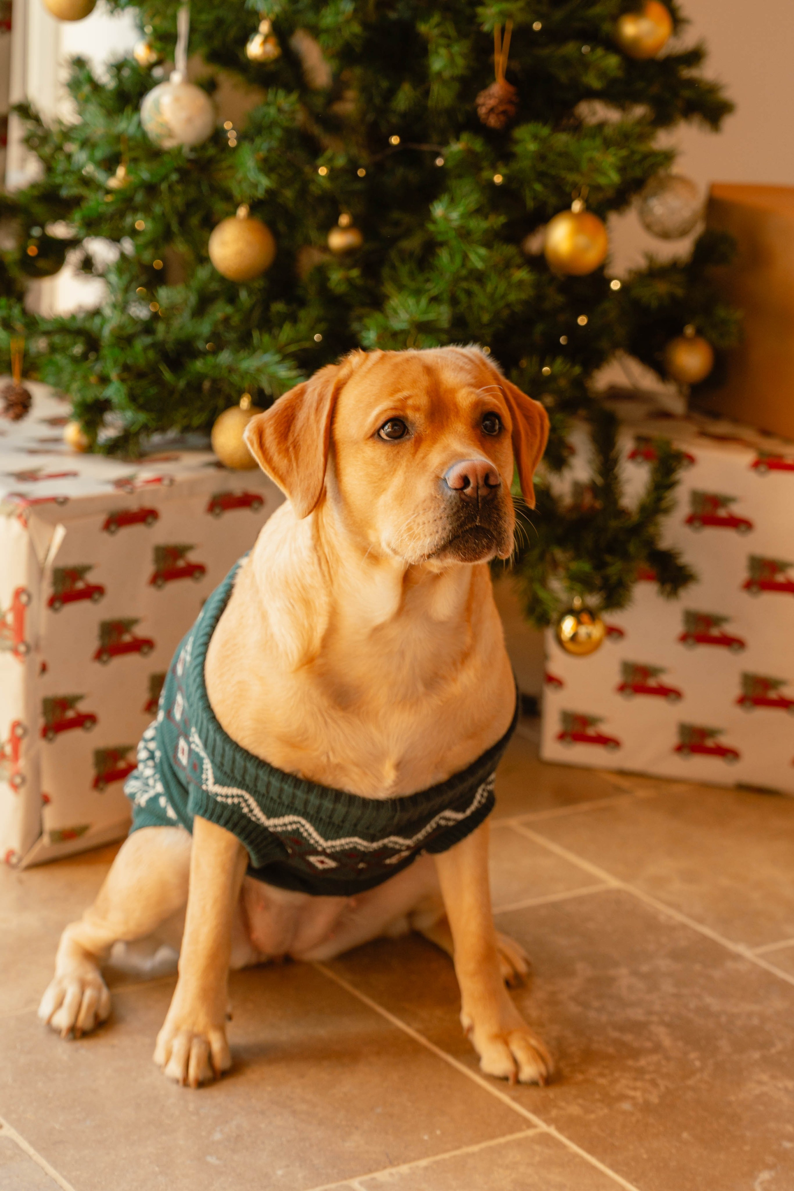 Julie & Théo. Weeding photographer / event / portrait