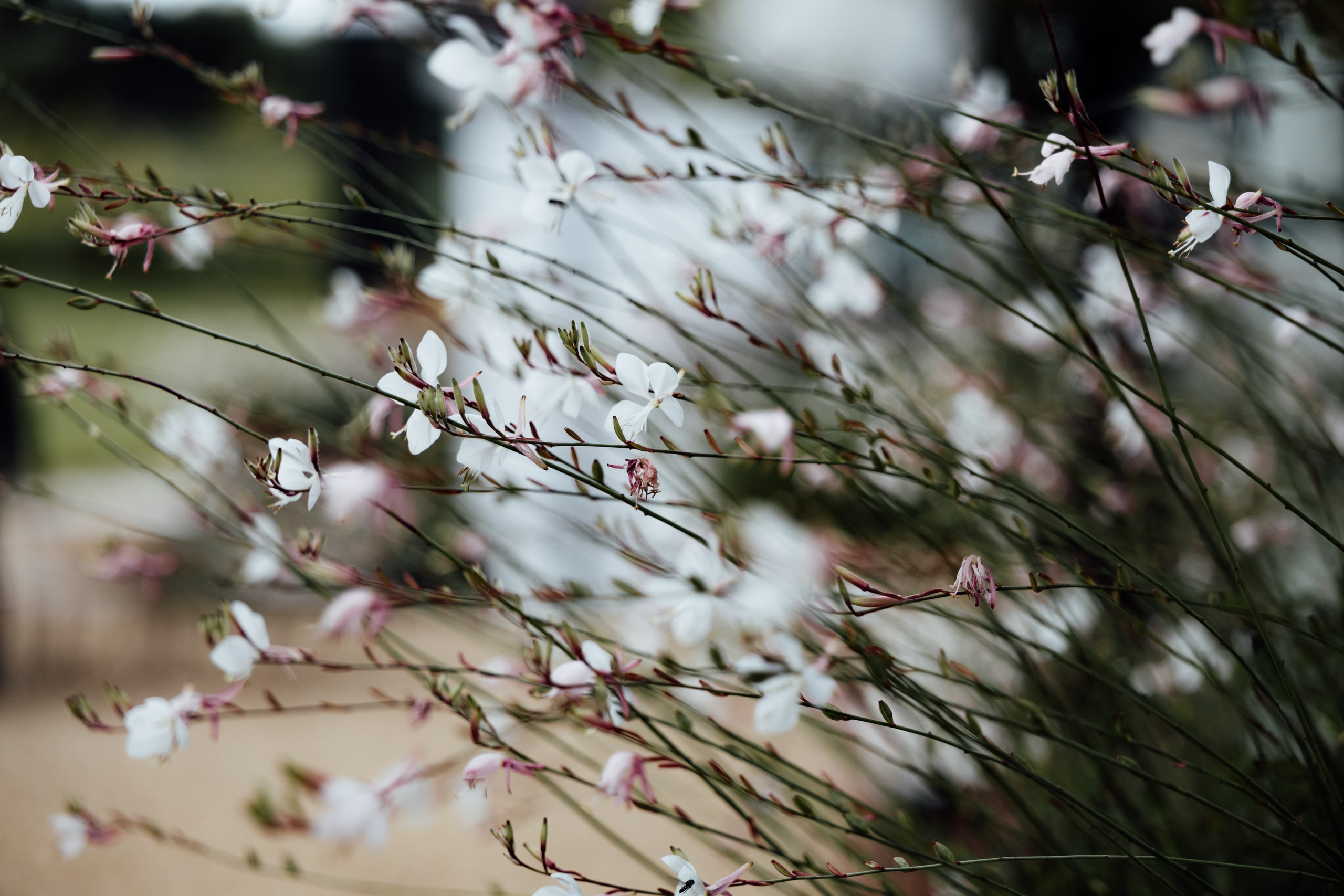 Limekiln, East Sussex, UK. 2025. Timeless Wedding & Event Photography — based London, working across Europe