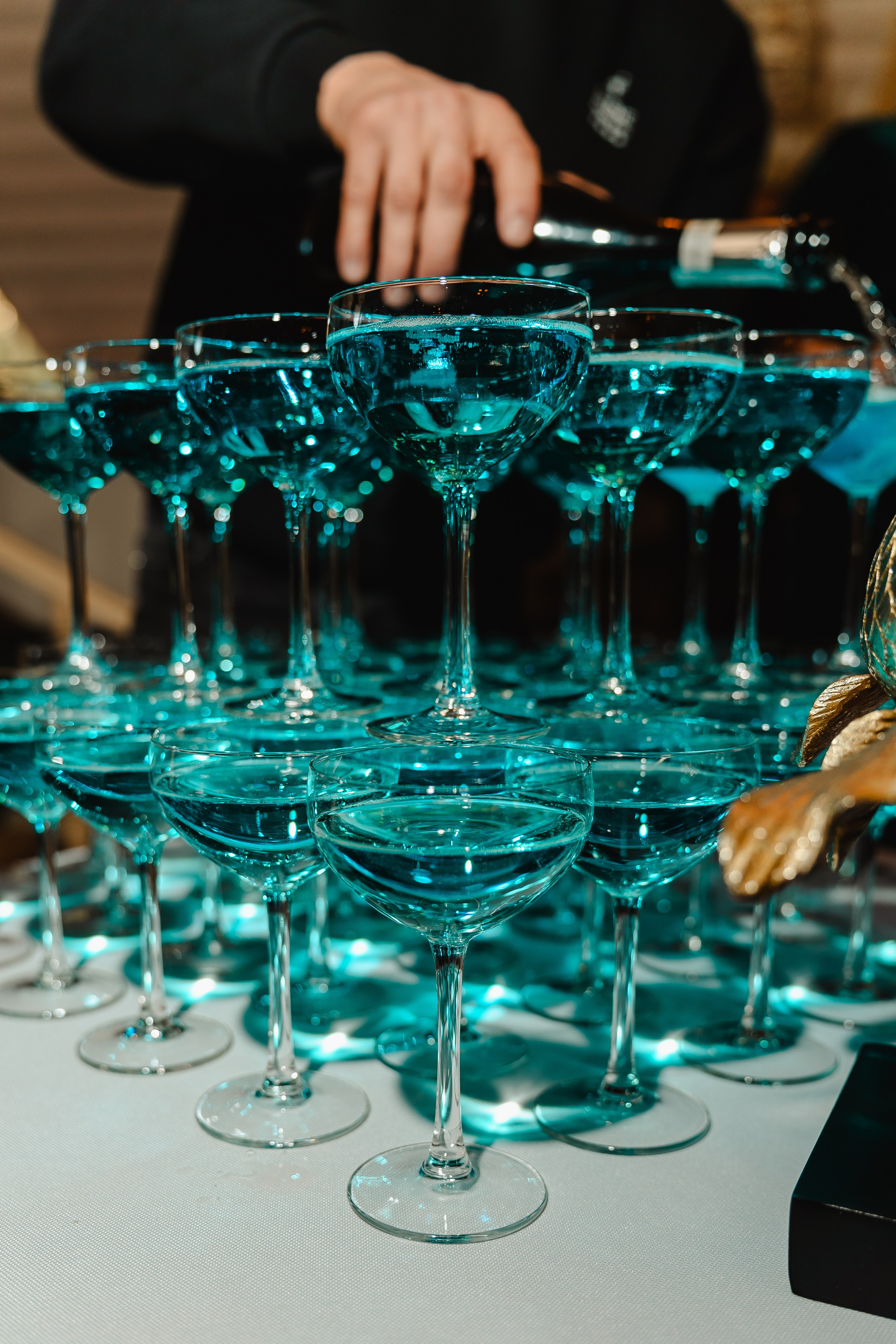 RESTAURANT. Montenegro photographer and videographer