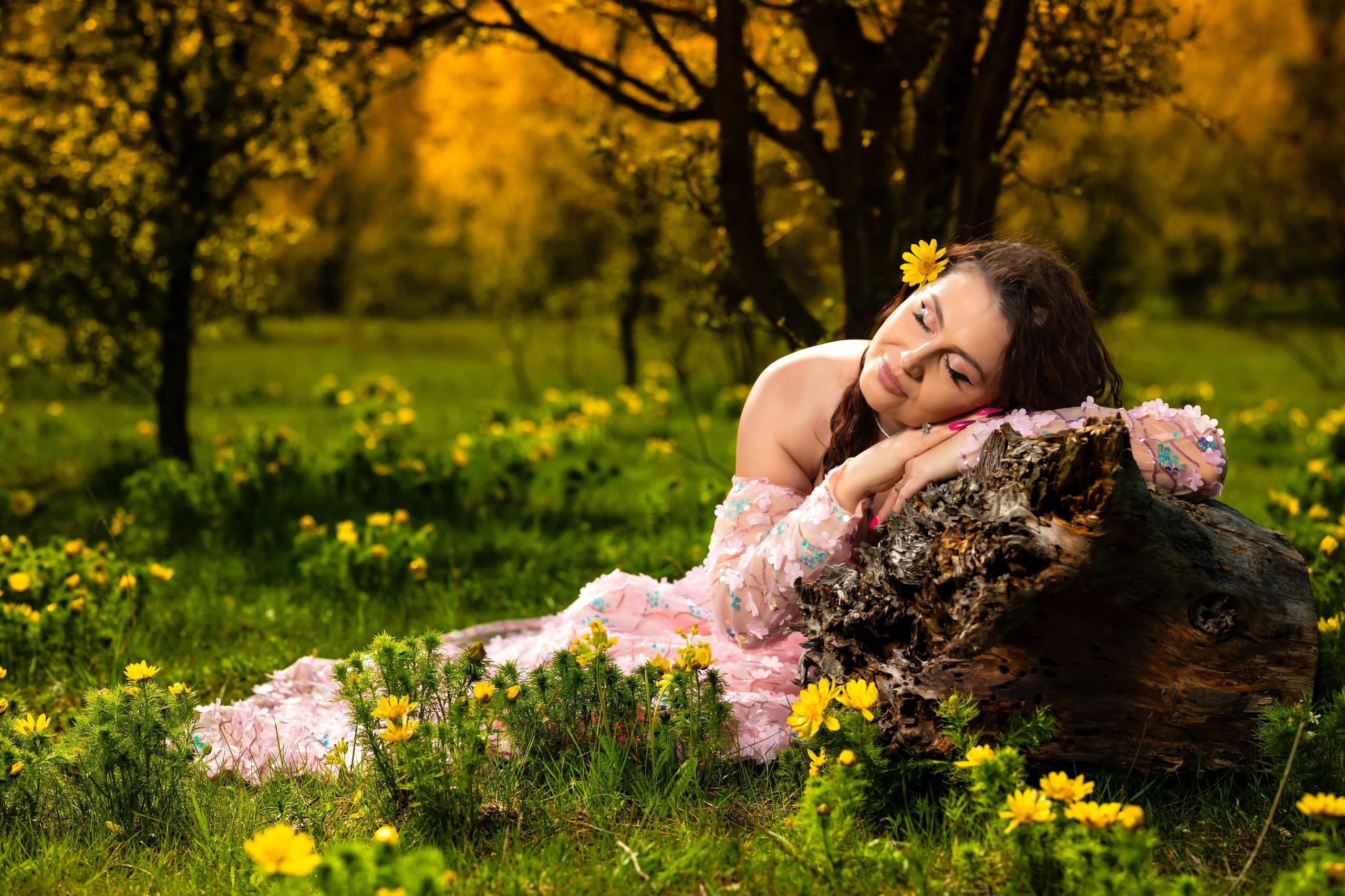 Roxana. Ionut Brehuescu — Fotograf