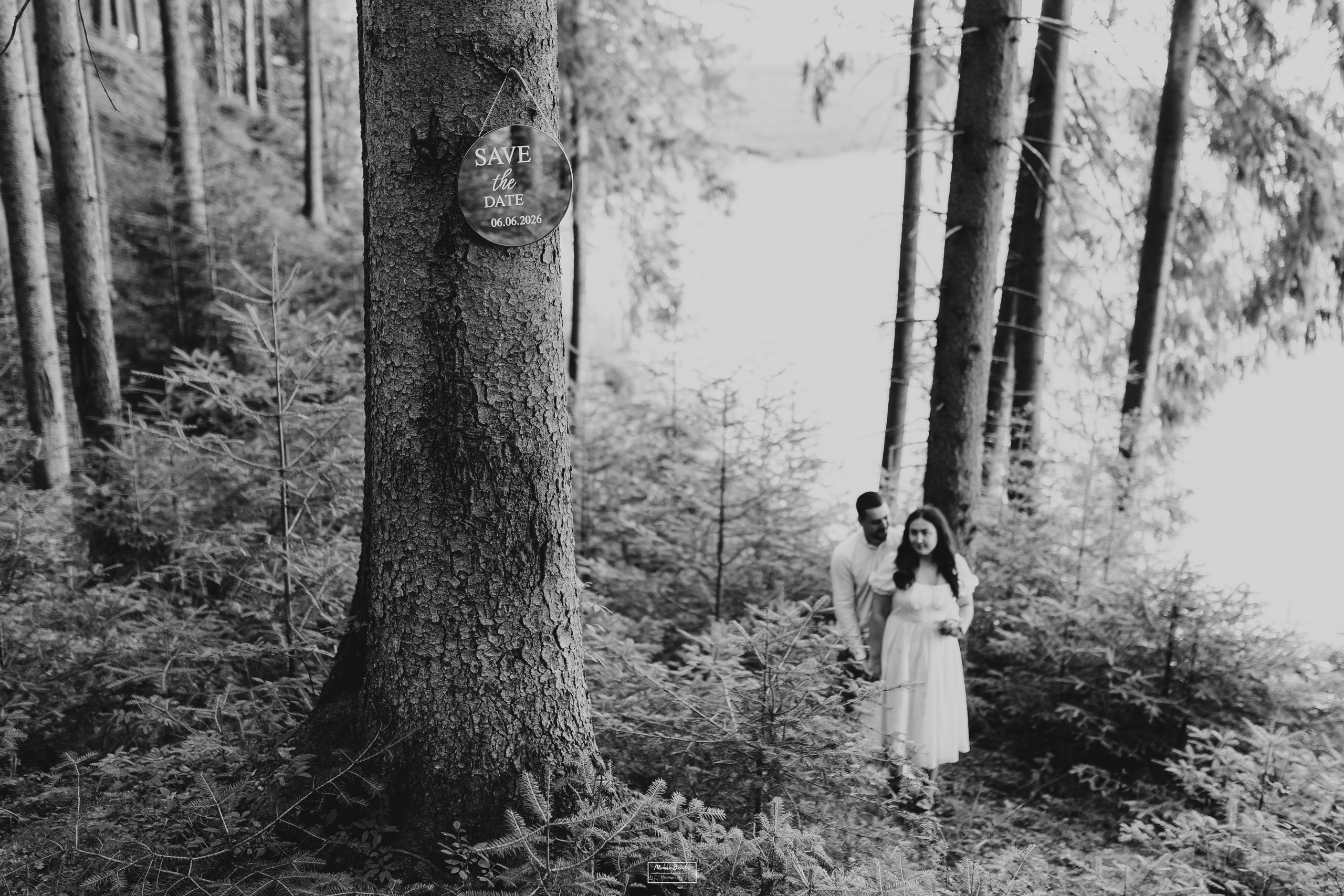 Save the Date- Daniela & Andrei. Acasa