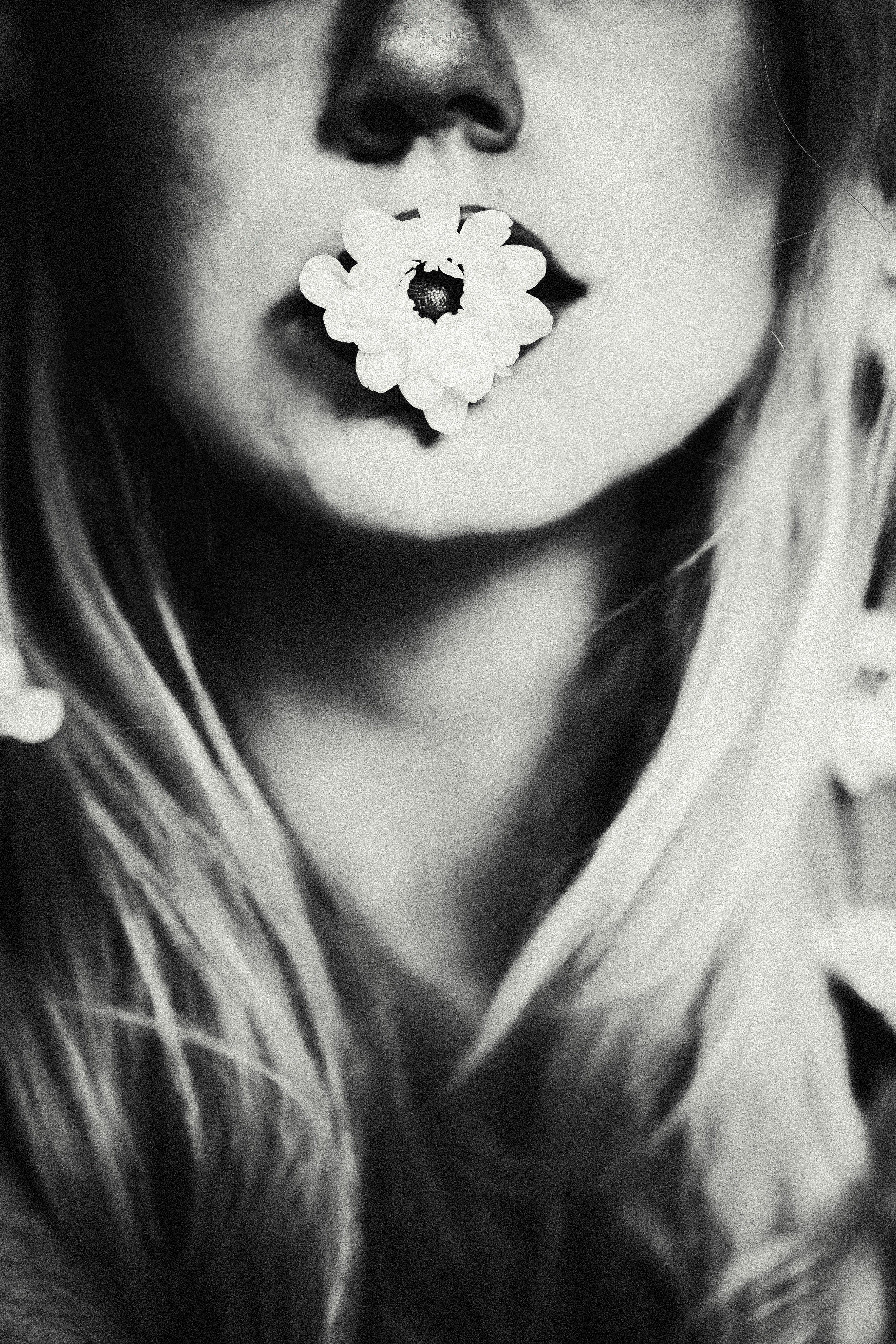 ANNA PROJECT. Anna Miyauchi