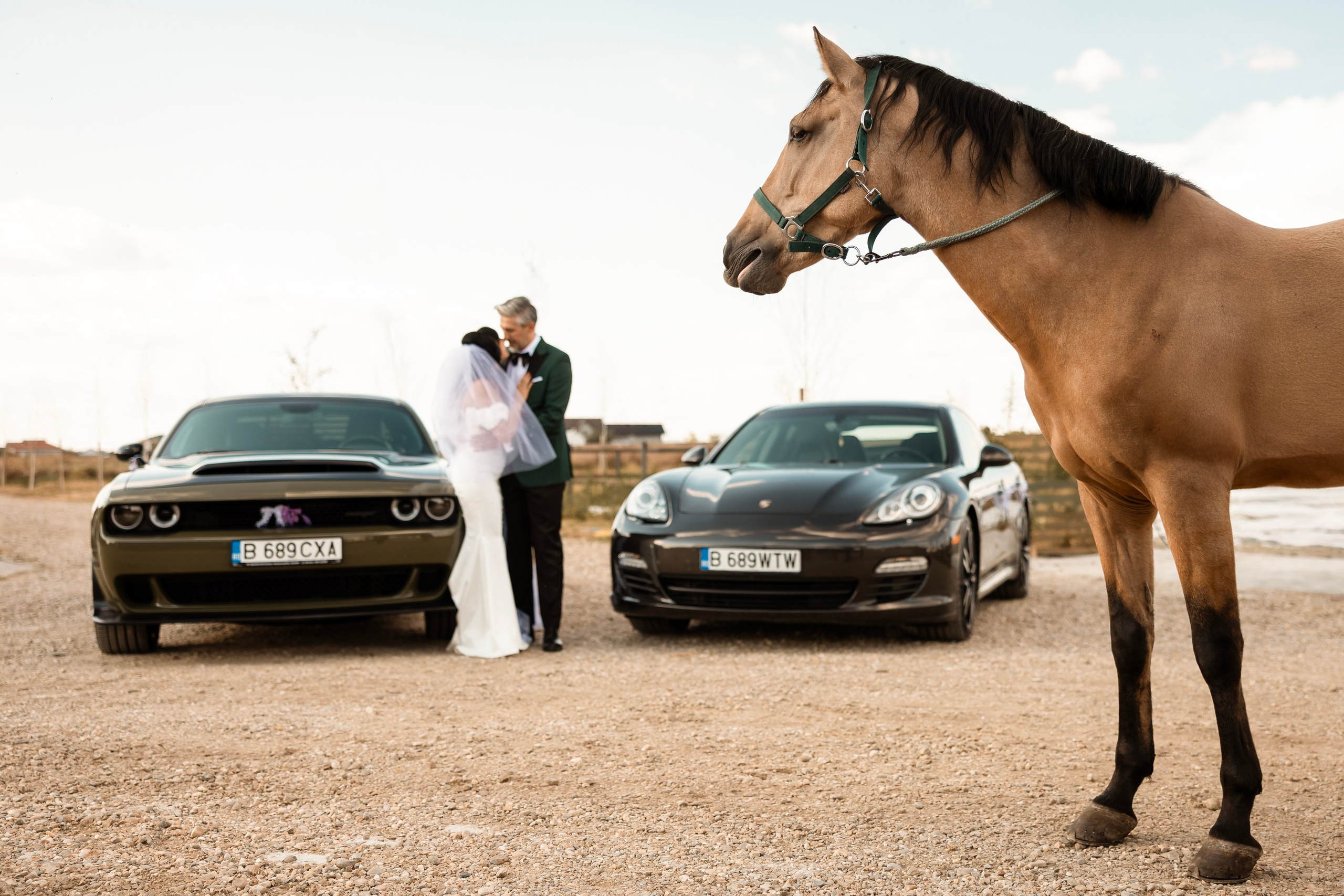 Corina & Adrian. Blink Photo — Fotografie & Videografie Nuntă