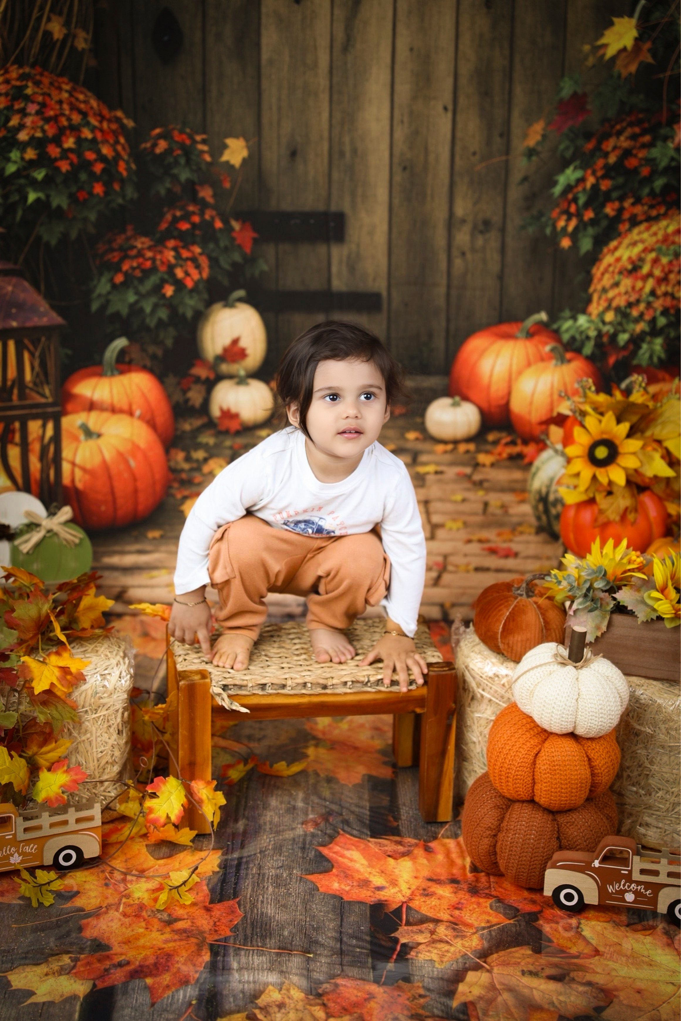 Fall and Halloween. AP Lens Photography | Newborn, Maternity, Milestone & Family Photographer Little Elm TX