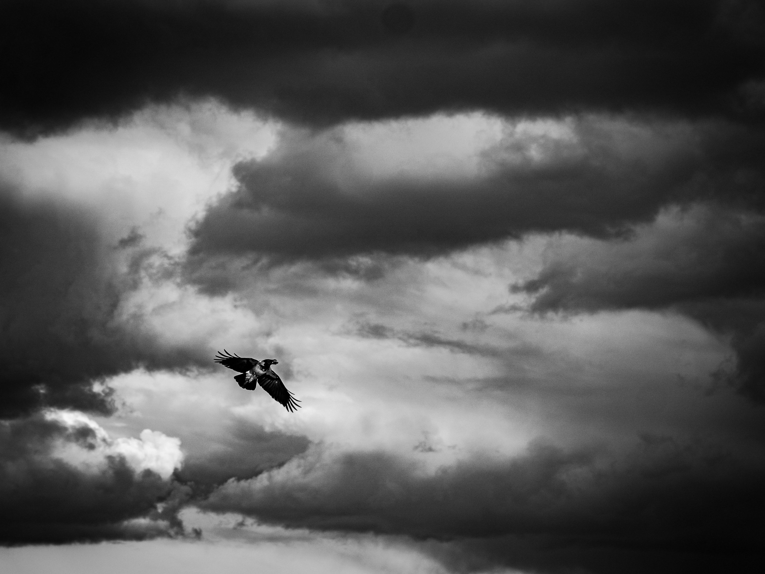 Crow. Главное меню