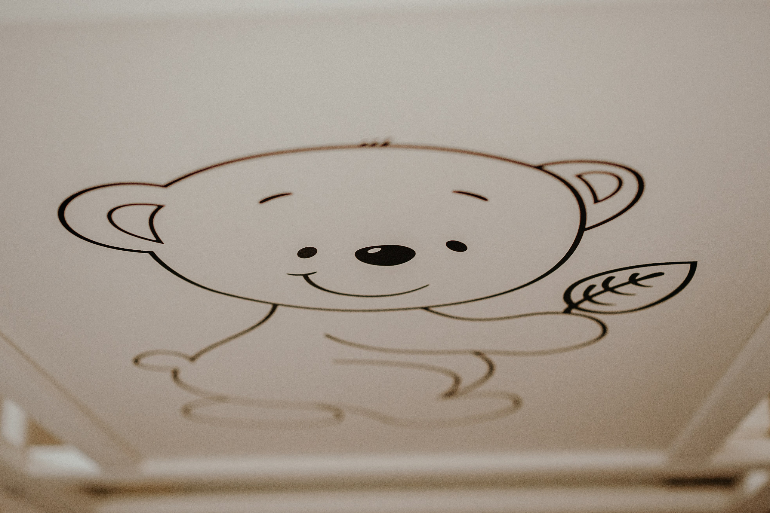 Botez. Ionutdraganfoto.com