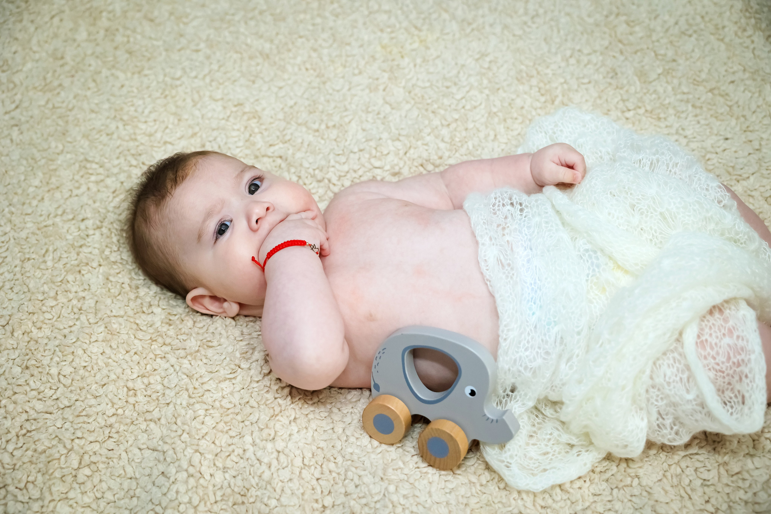 Andrei Damian. Moments By Gub