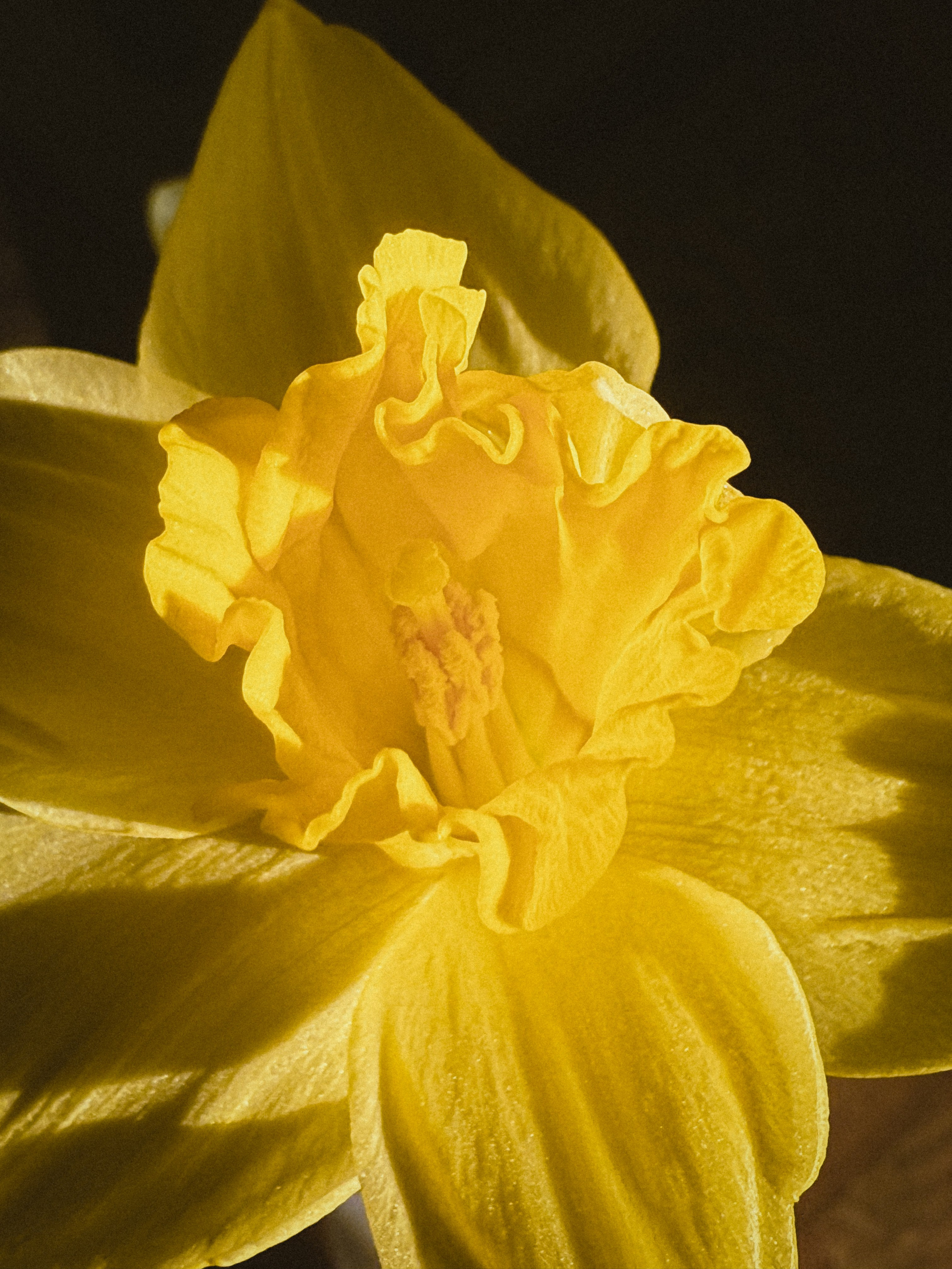 Мобильная съемка. Анастасия Еремина | Фотограф в Сербии | Персональные и бизнес-фотосессии в Белграде и Нови Саде