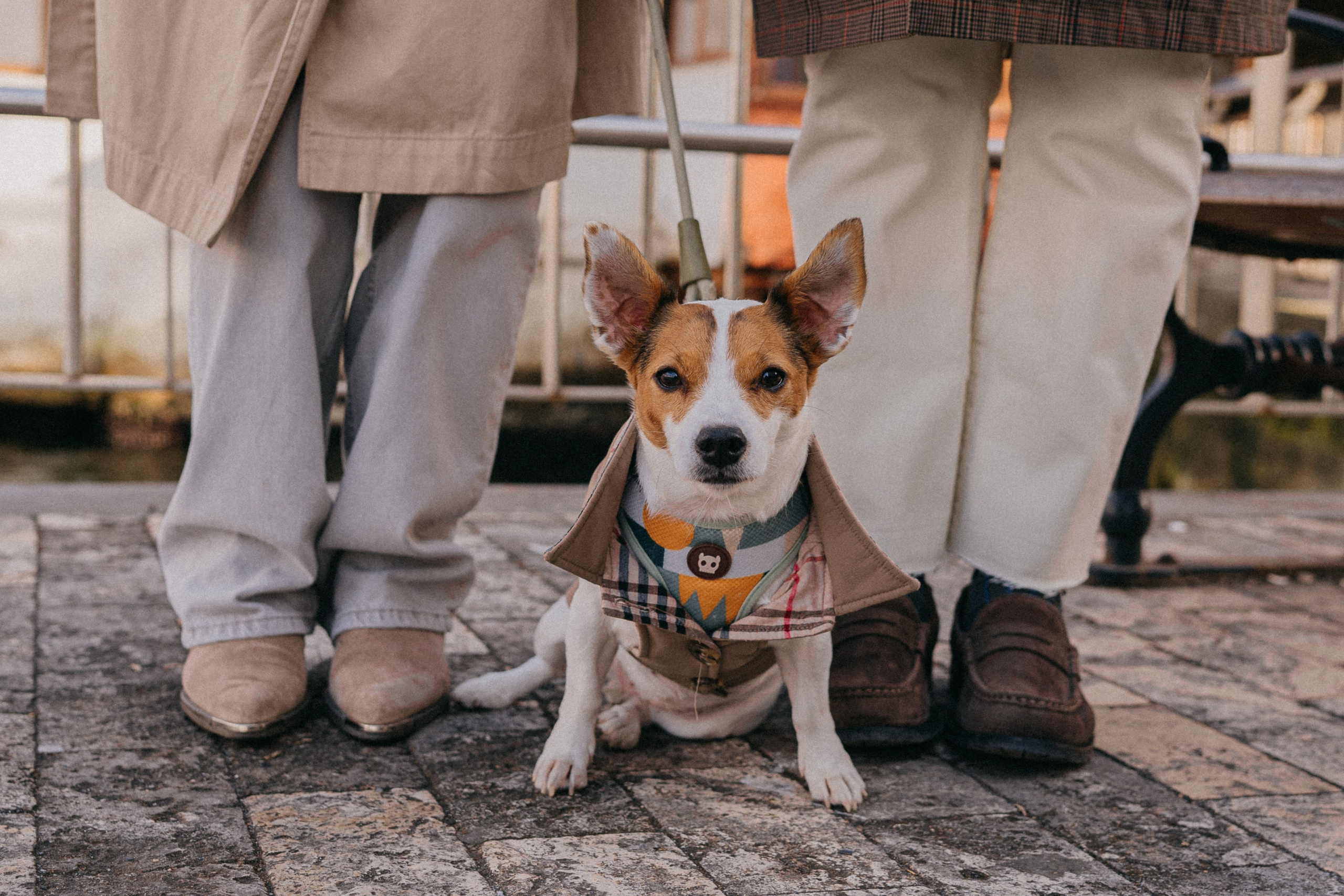 Зу & Саша. Фотограф Москва Ларина Юлия