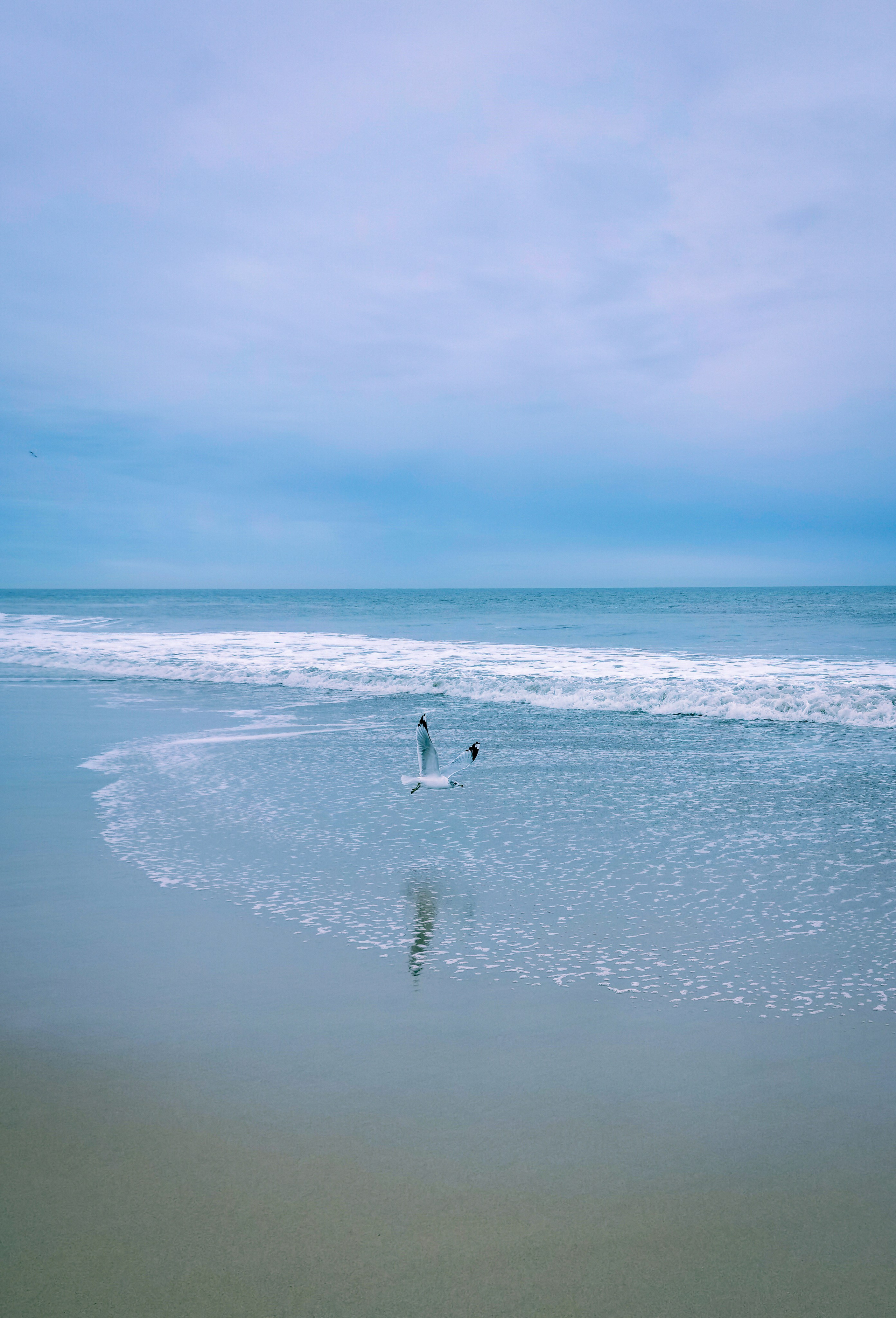 Atlantic Ocean and photo with dreams. Victoria Fedoseenko. Photographer from Serbia