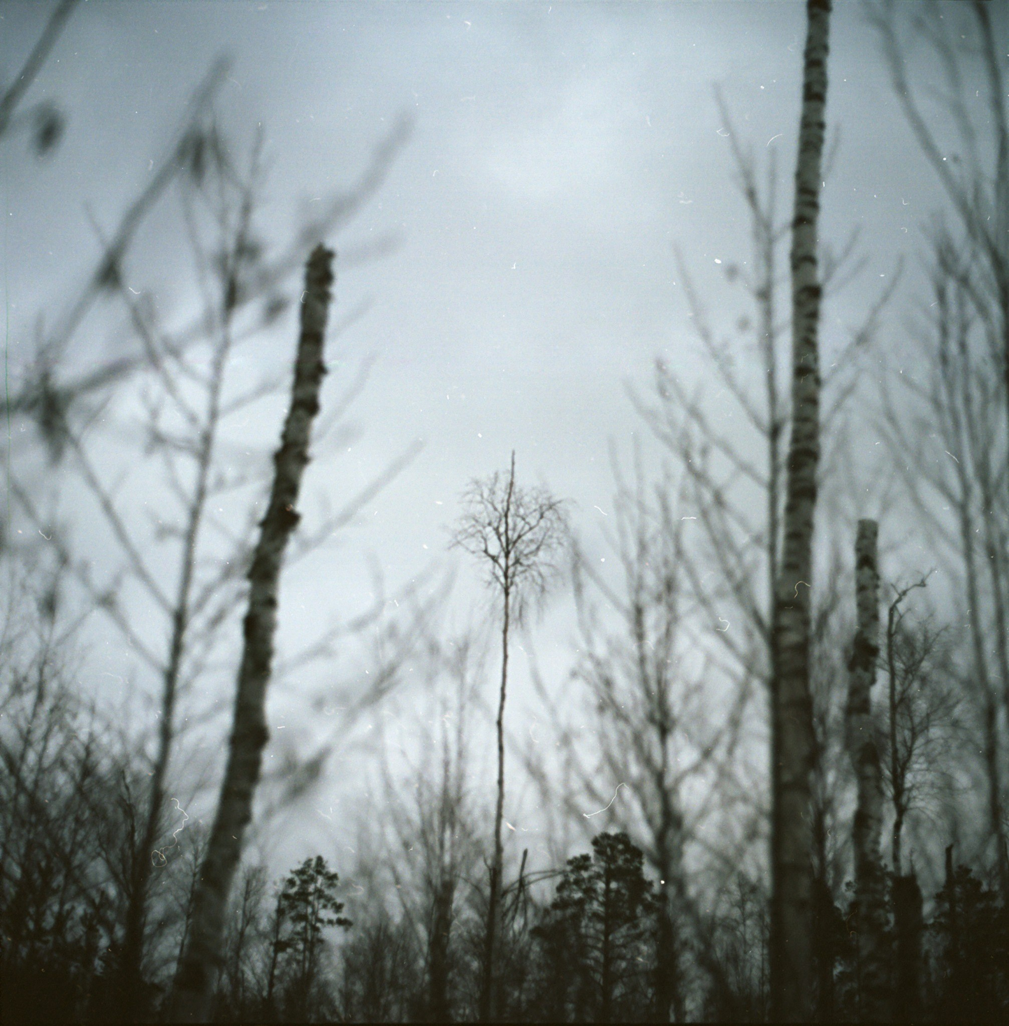 Landscapes. Map of the Borderlands