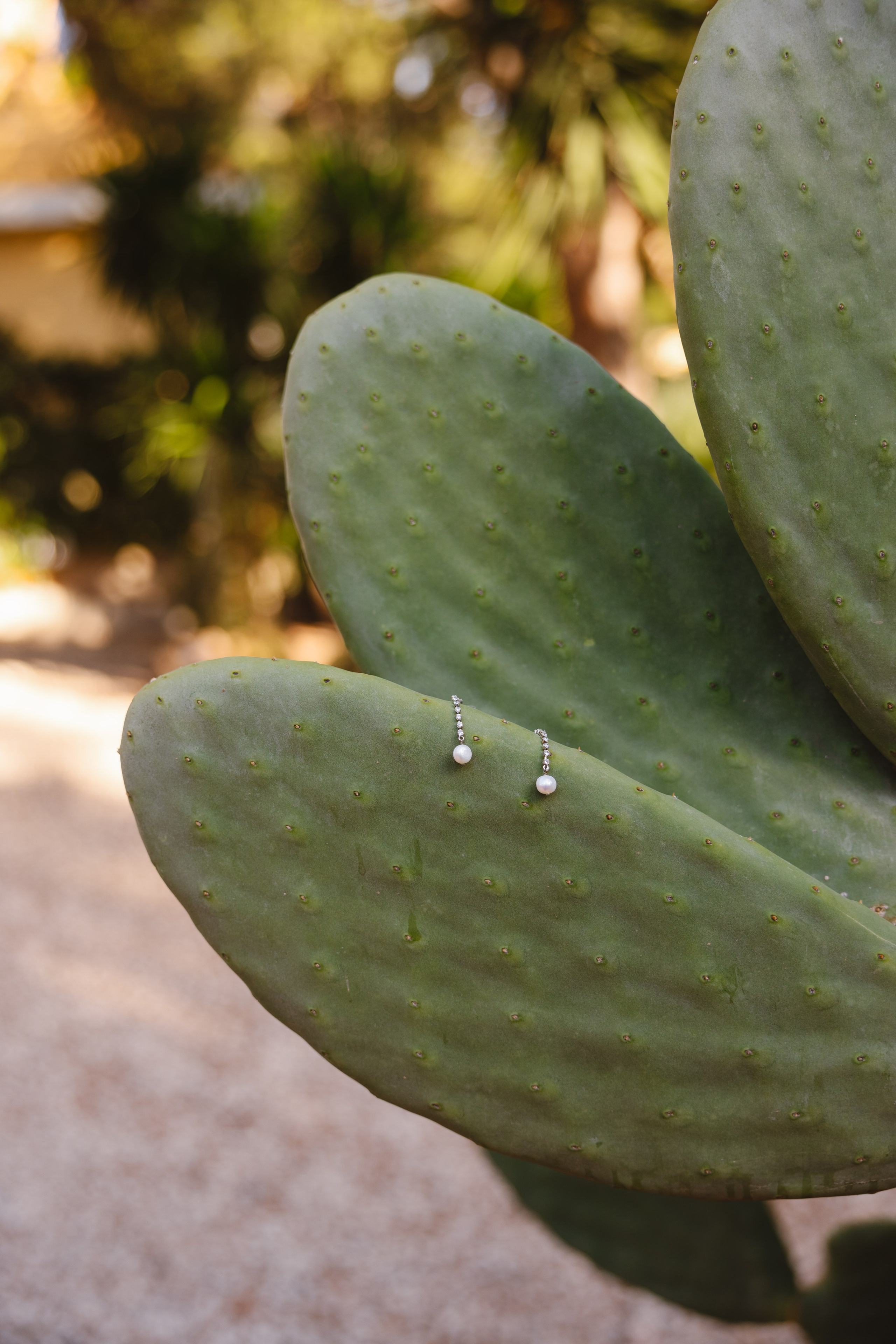 Mª ÁNGELES & ALEJANDRO. Fotógrafo y Videografo de bodas y eventos