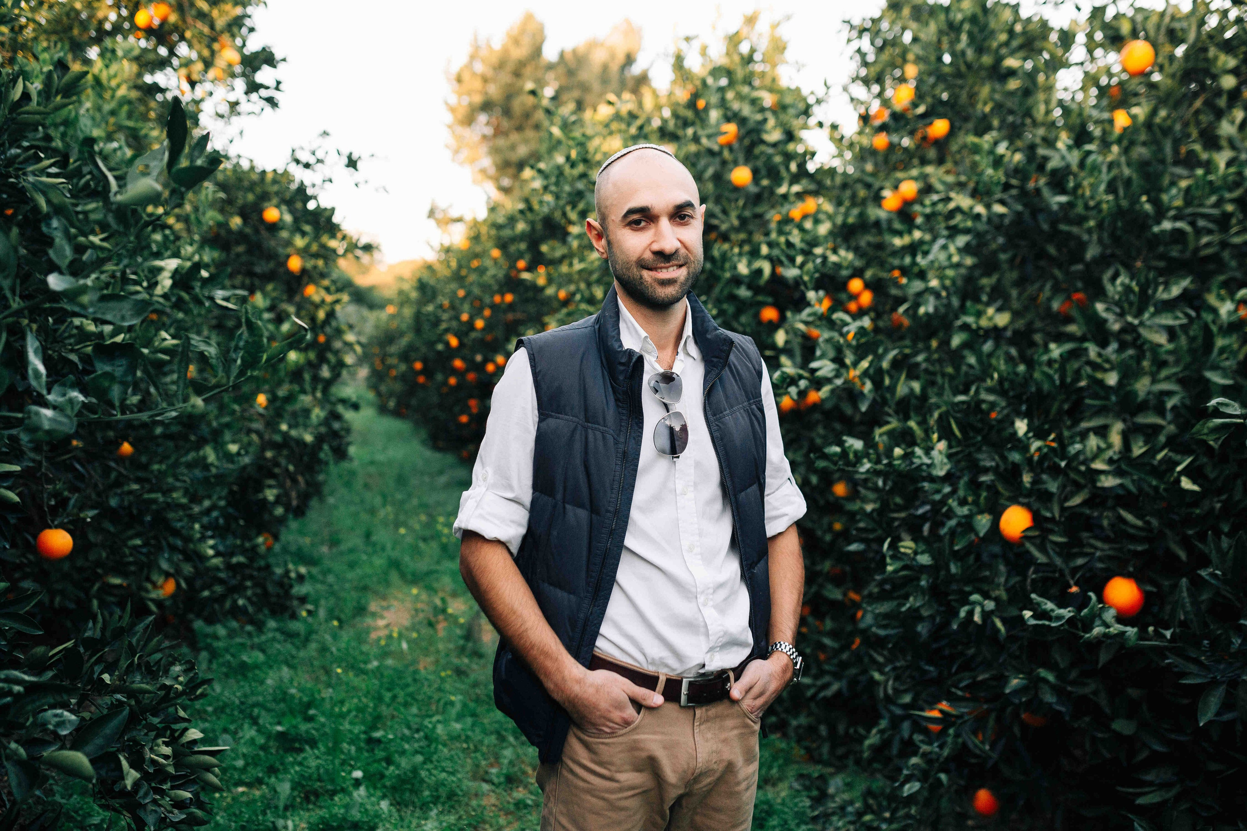 MANDARNINE GARDEN. Https://shi-photo.com/