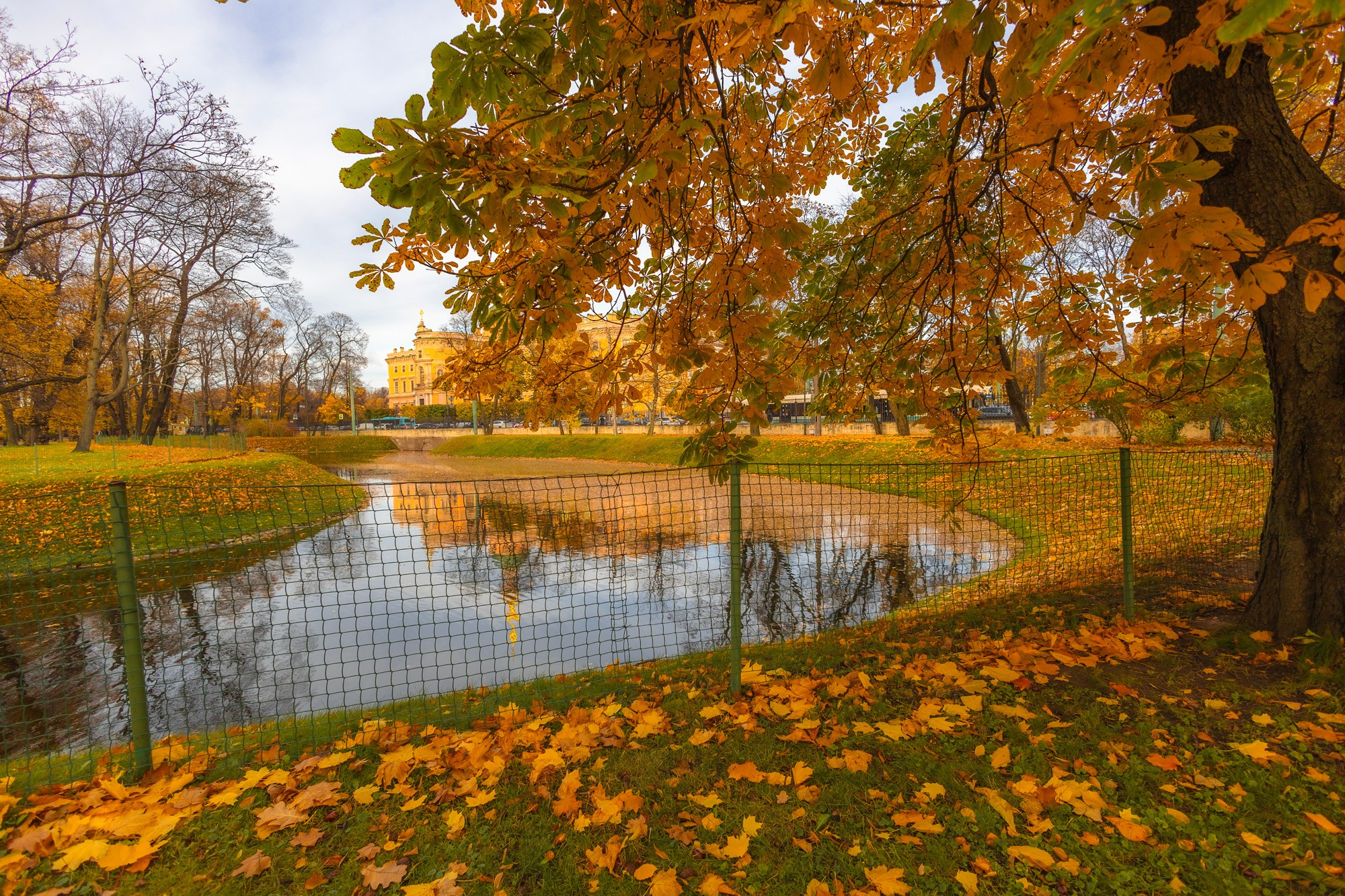 Autumn Series. Samid Ali