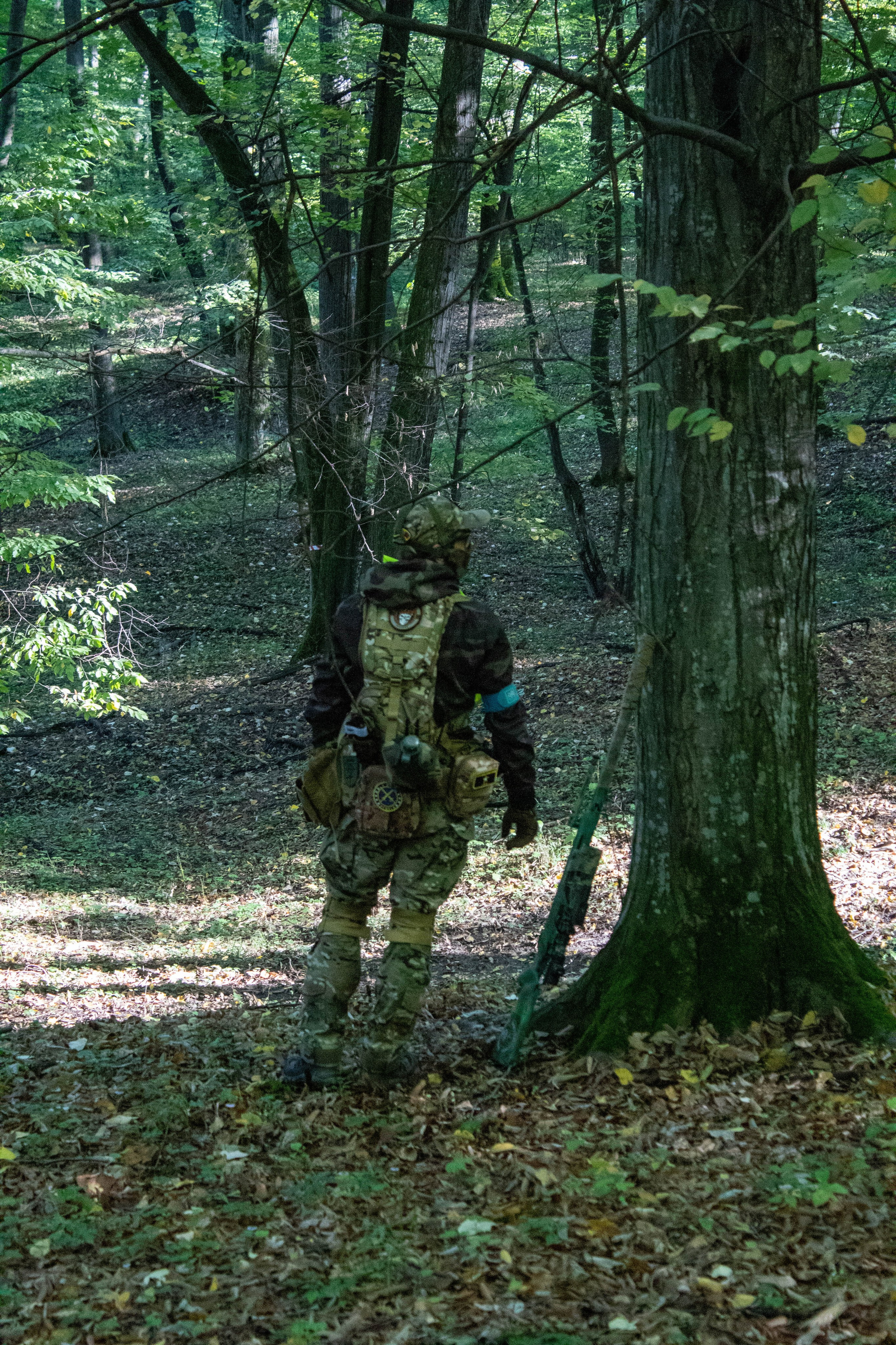 Airsoft player in camouflage hiding behind a tree in a forest during a match.