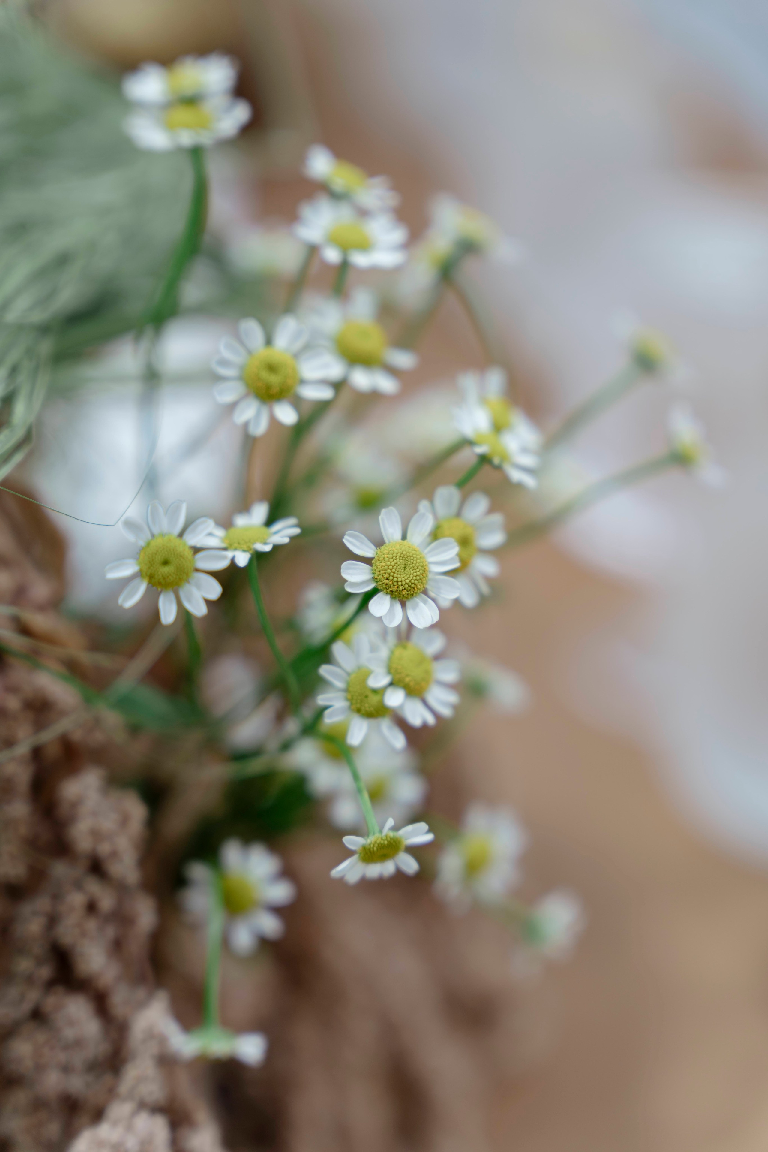 NGHIA & CHAU. WEDDING PHOTOGRAPHER IN VIETNAM