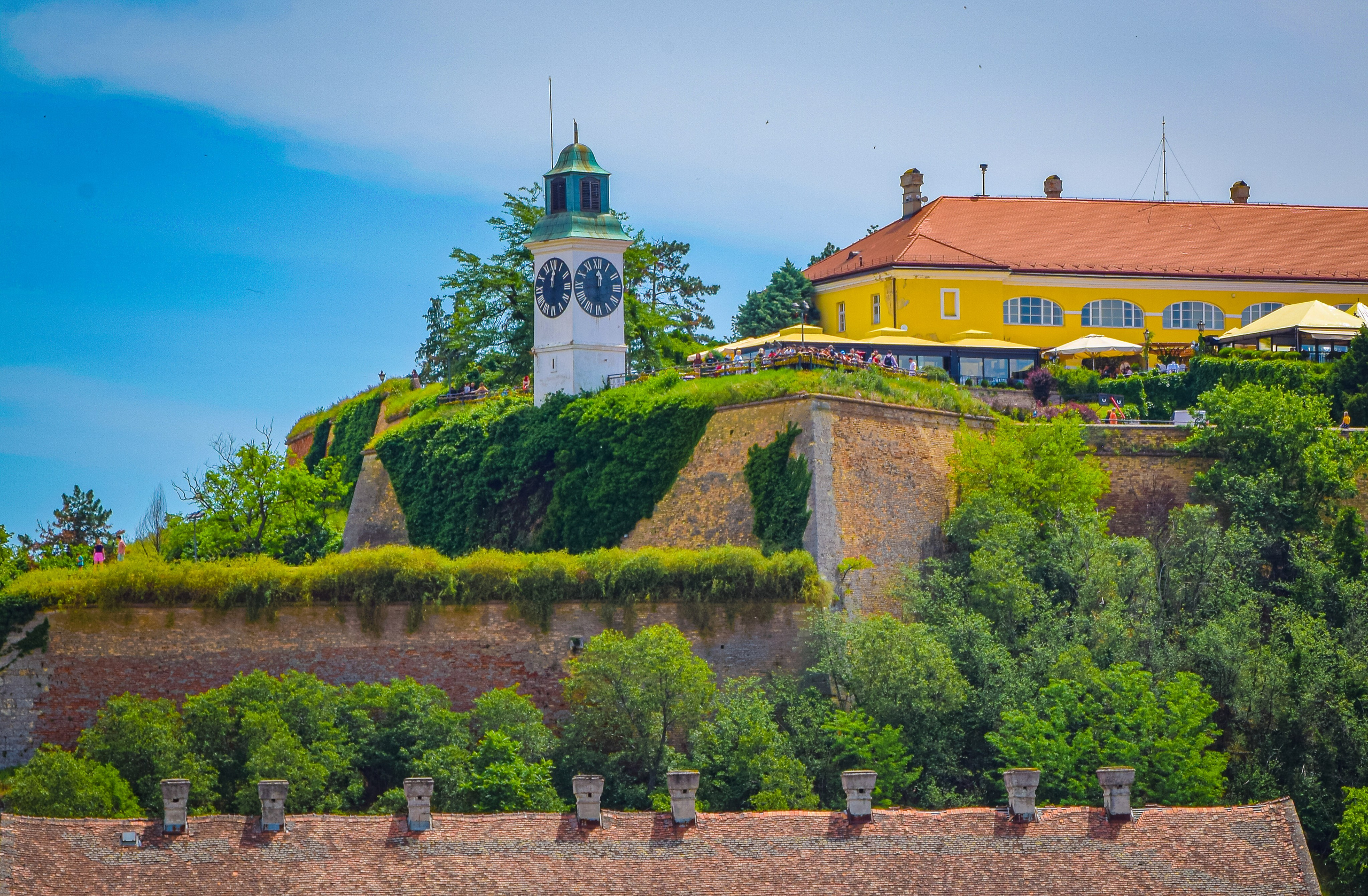 Петроварадин - галерија на продају. Викторија Федосеенко, фотограф у Србији