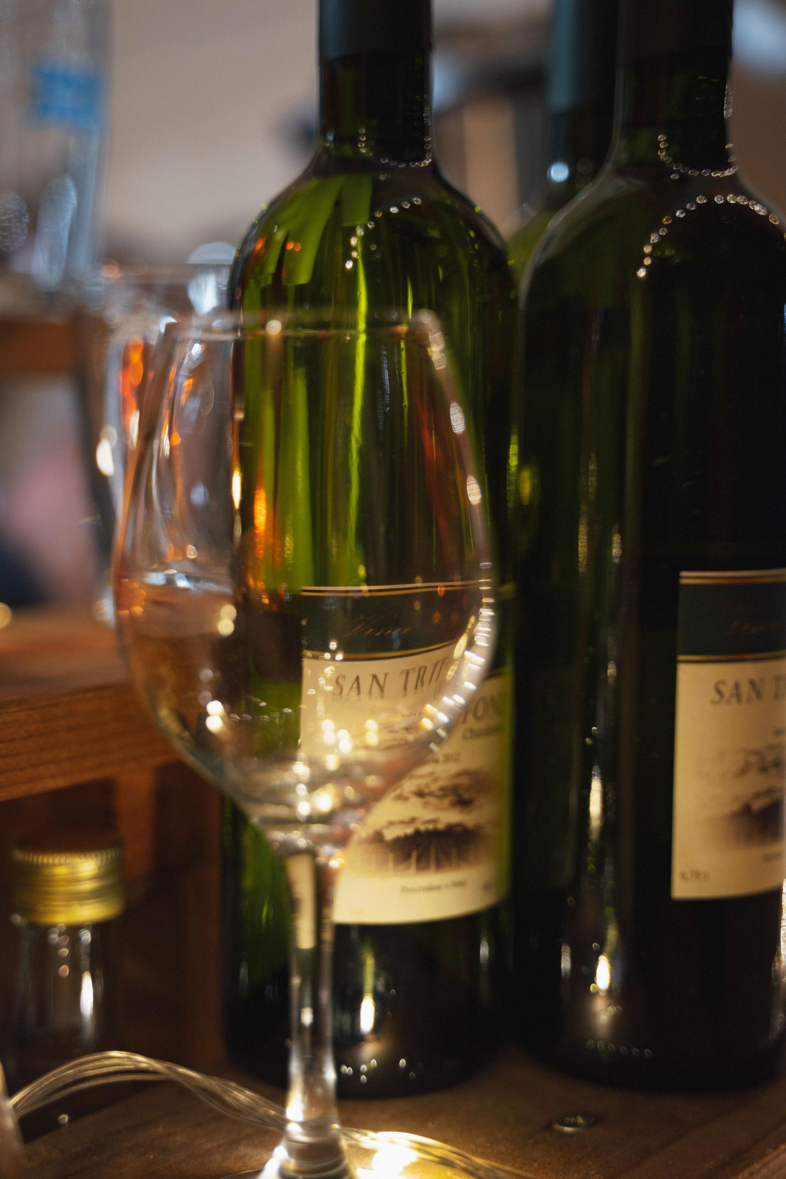 Novosadski Zimzolend. Жуков Студио