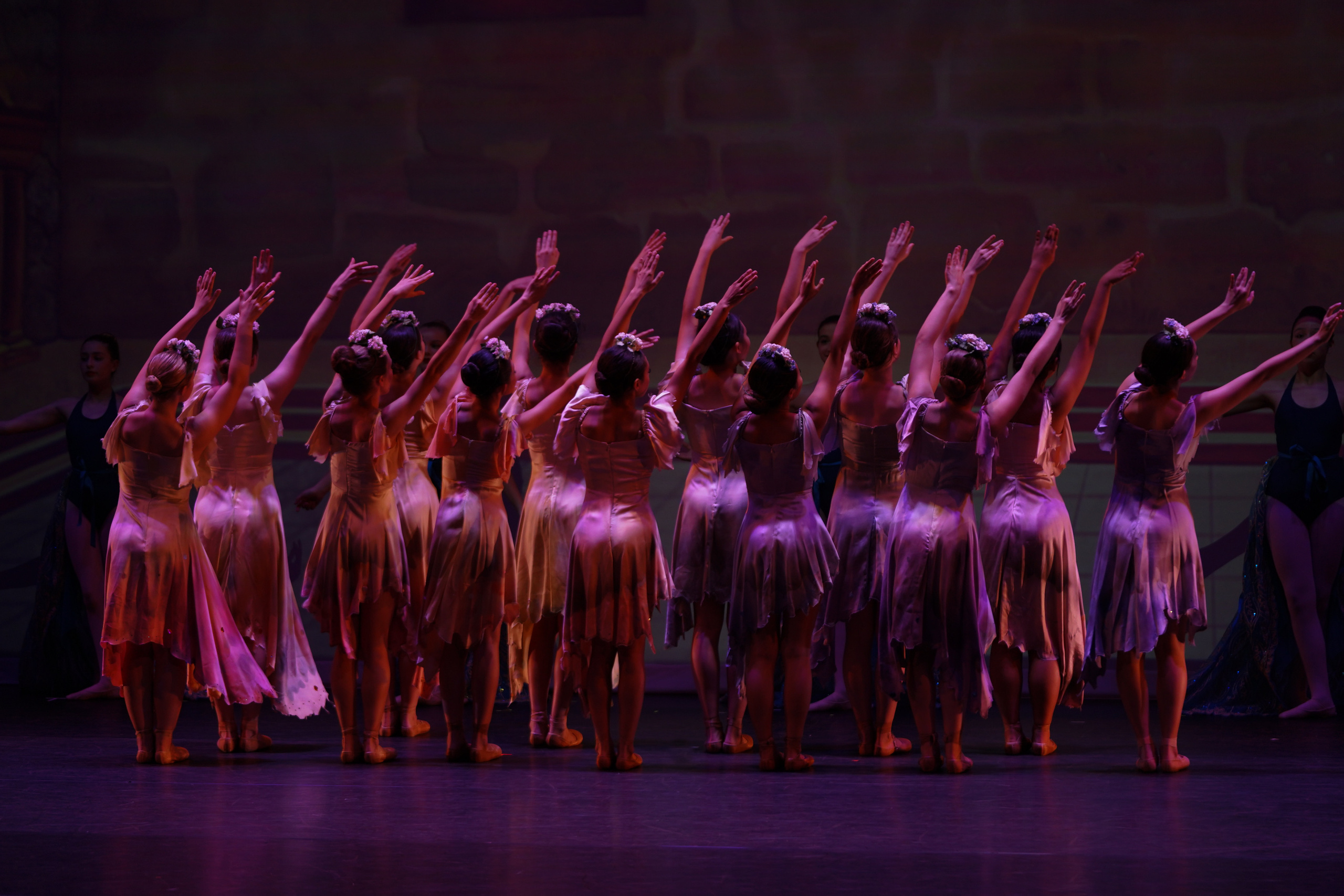 12 Dancing princesses. Santa Clarita Photographer