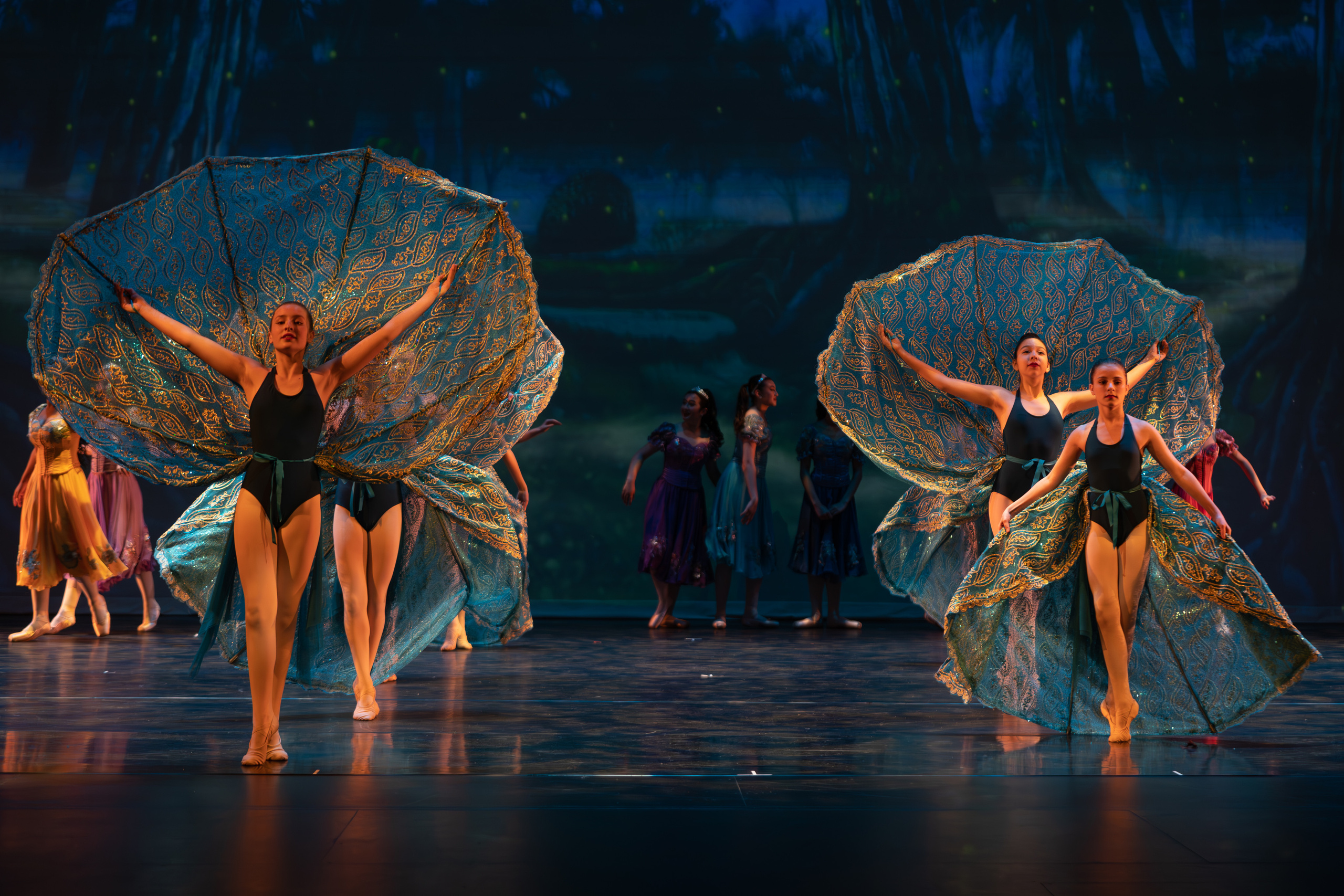 12 Dancing princesses. Santa Clarita Photographer