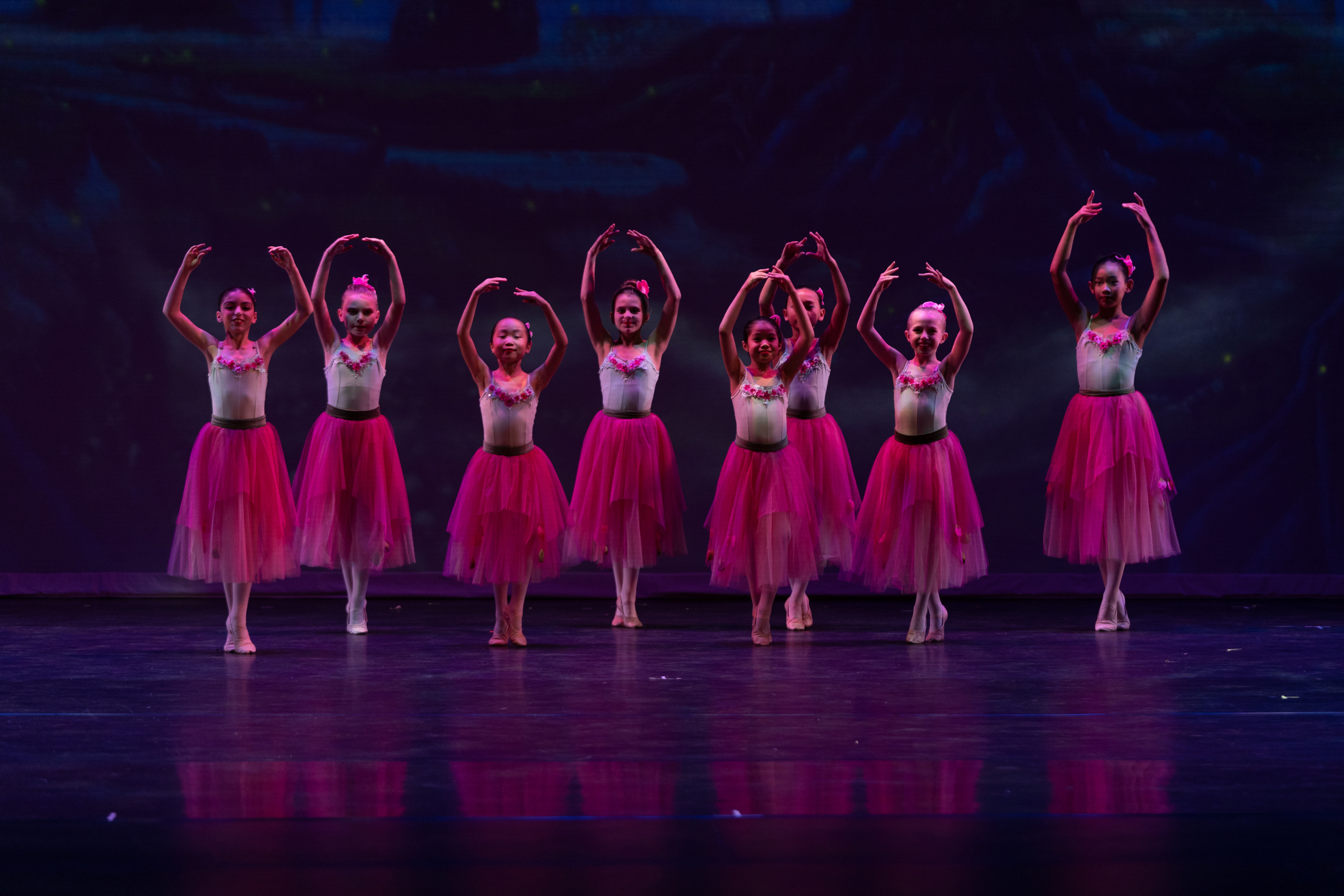 12 Dancing princesses. Santa Clarita Photographer