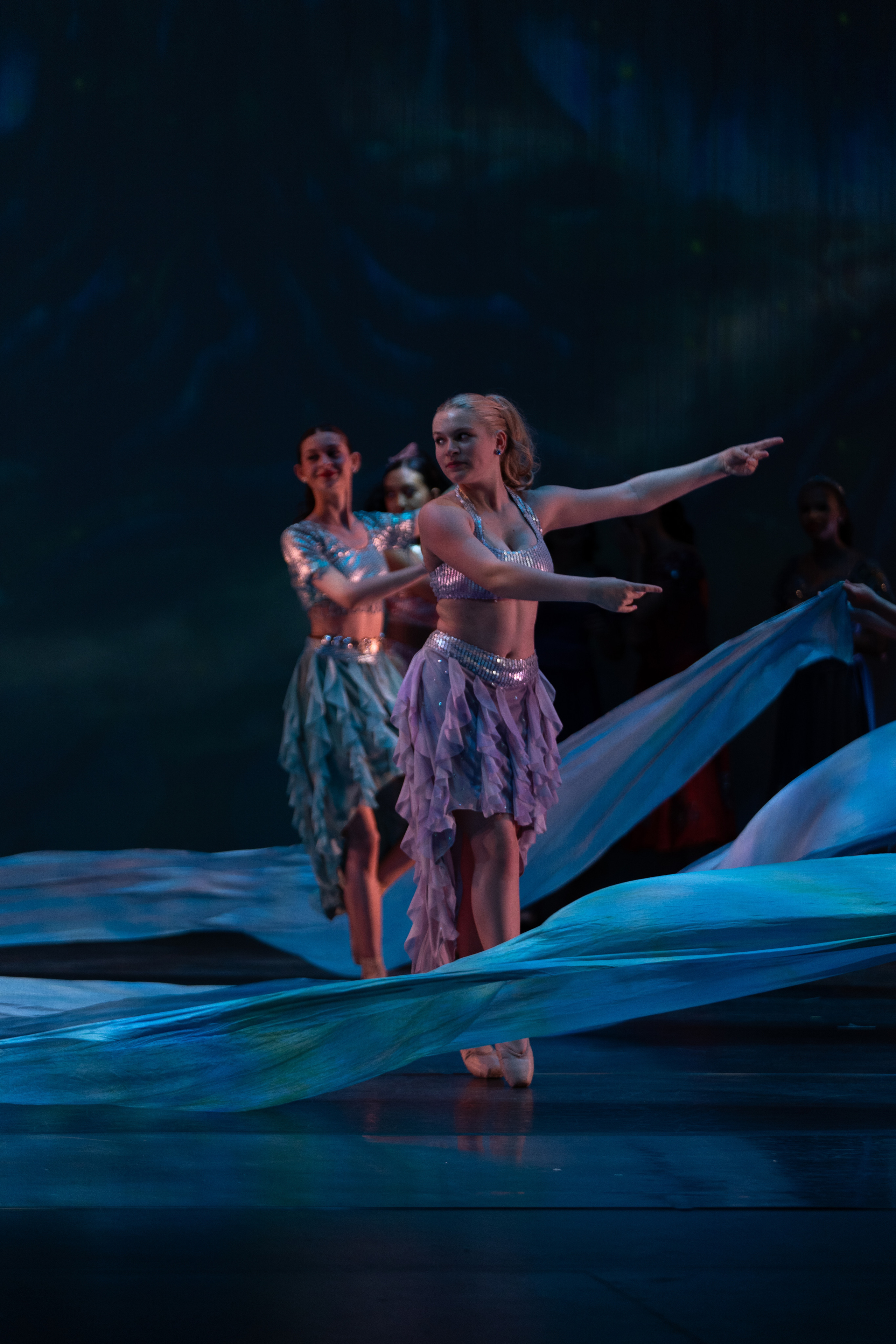 12 Dancing princesses. Santa Clarita Photographer