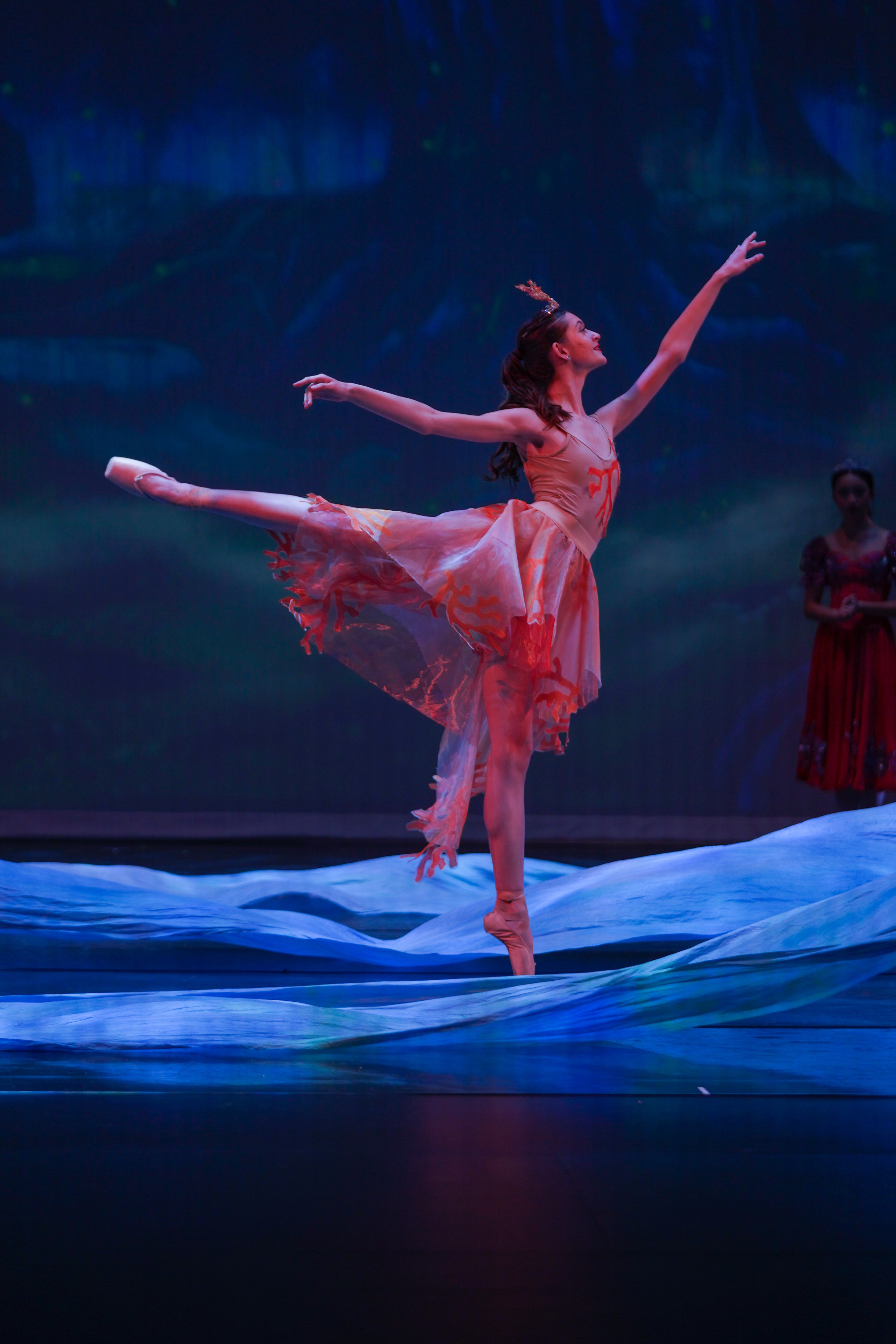 12 Dancing princesses. Santa Clarita Photographer