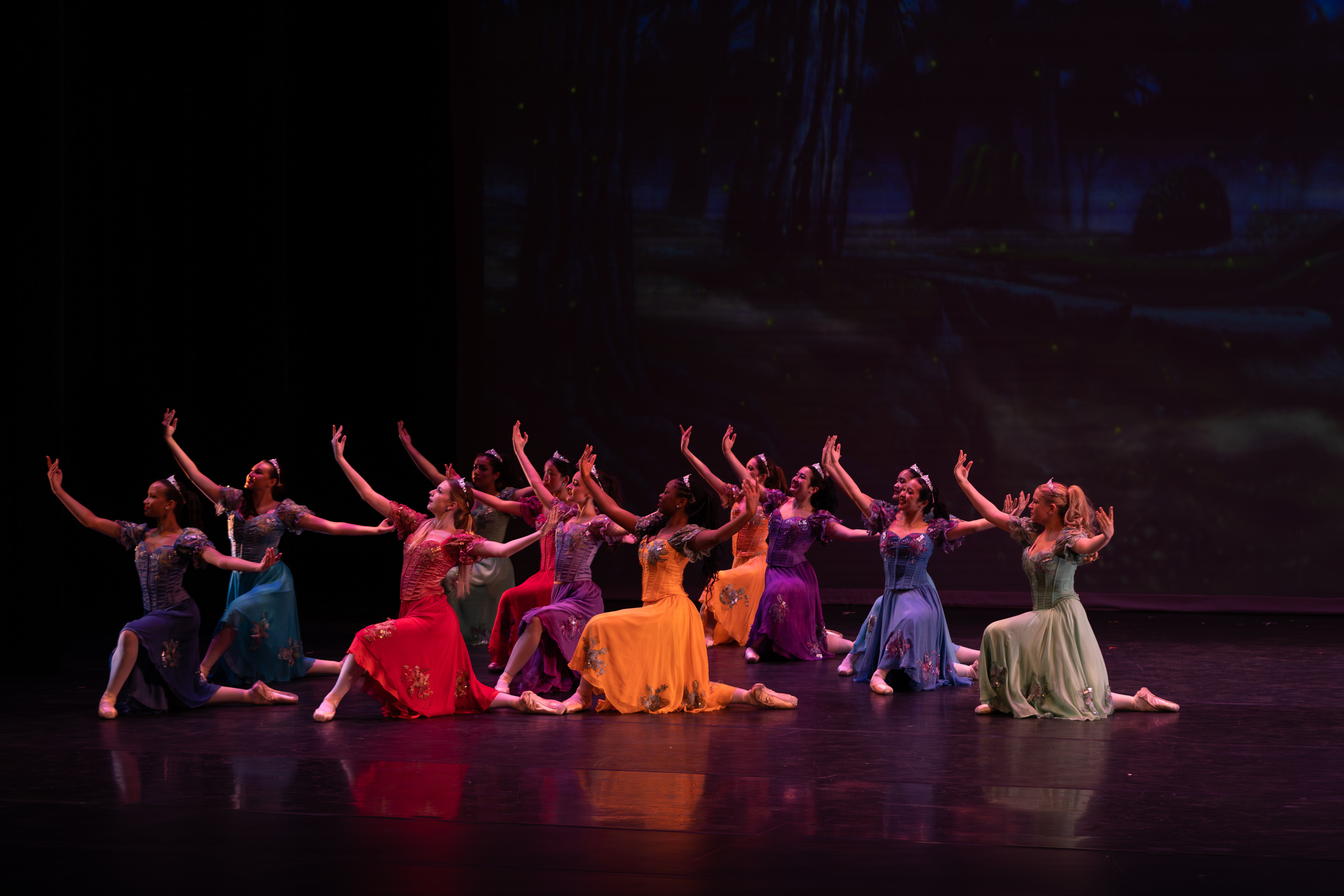 12 Dancing princesses. Santa Clarita Photographer