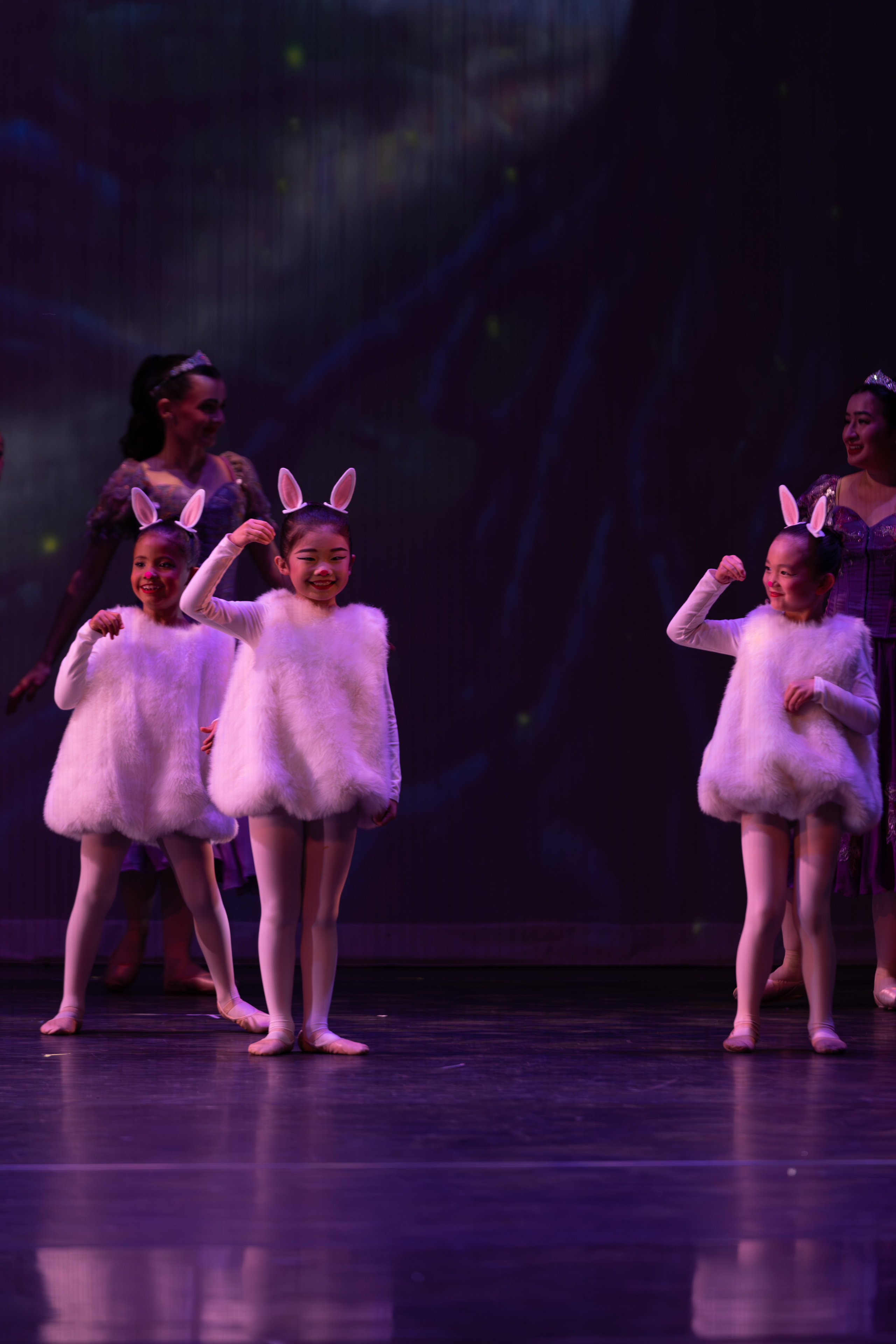 12 Dancing princesses. Santa Clarita Photographer