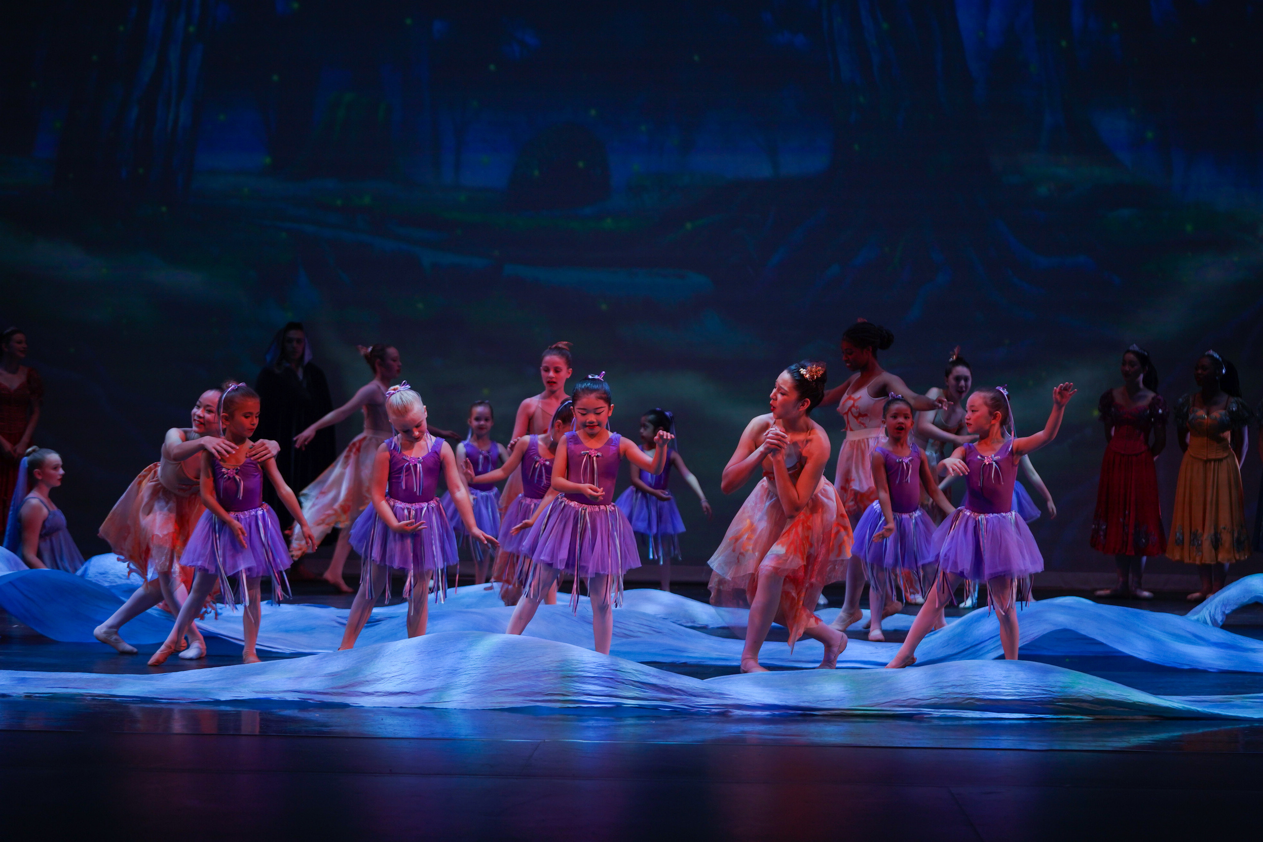 12 Dancing princesses. Santa Clarita Photographer