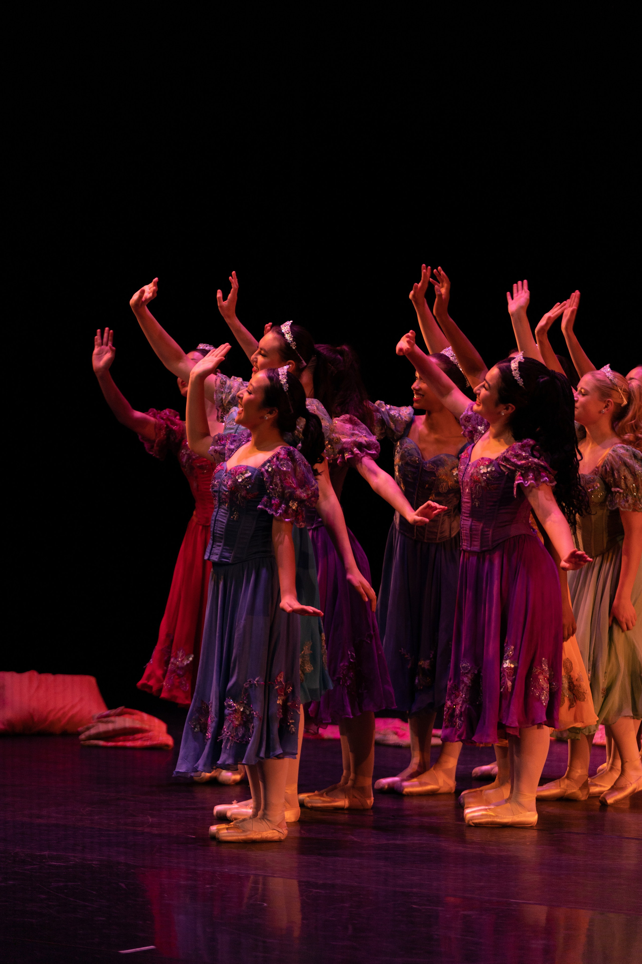 12 Dancing princesses. Santa Clarita Photographer