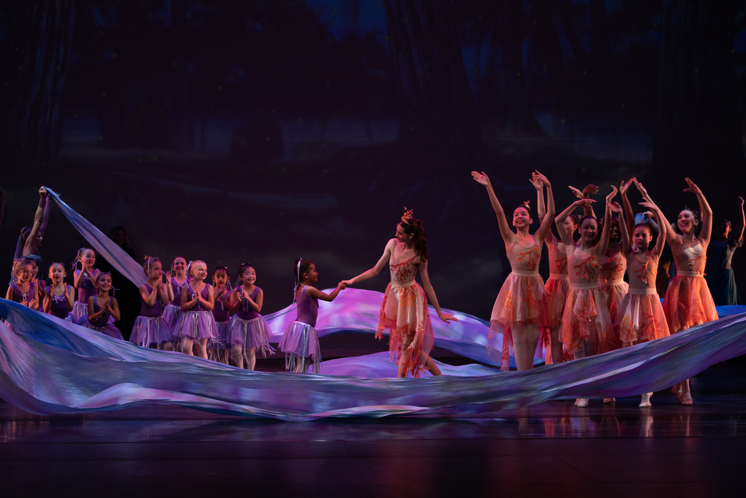 12 Dancing princesses. Santa Clarita Photographer