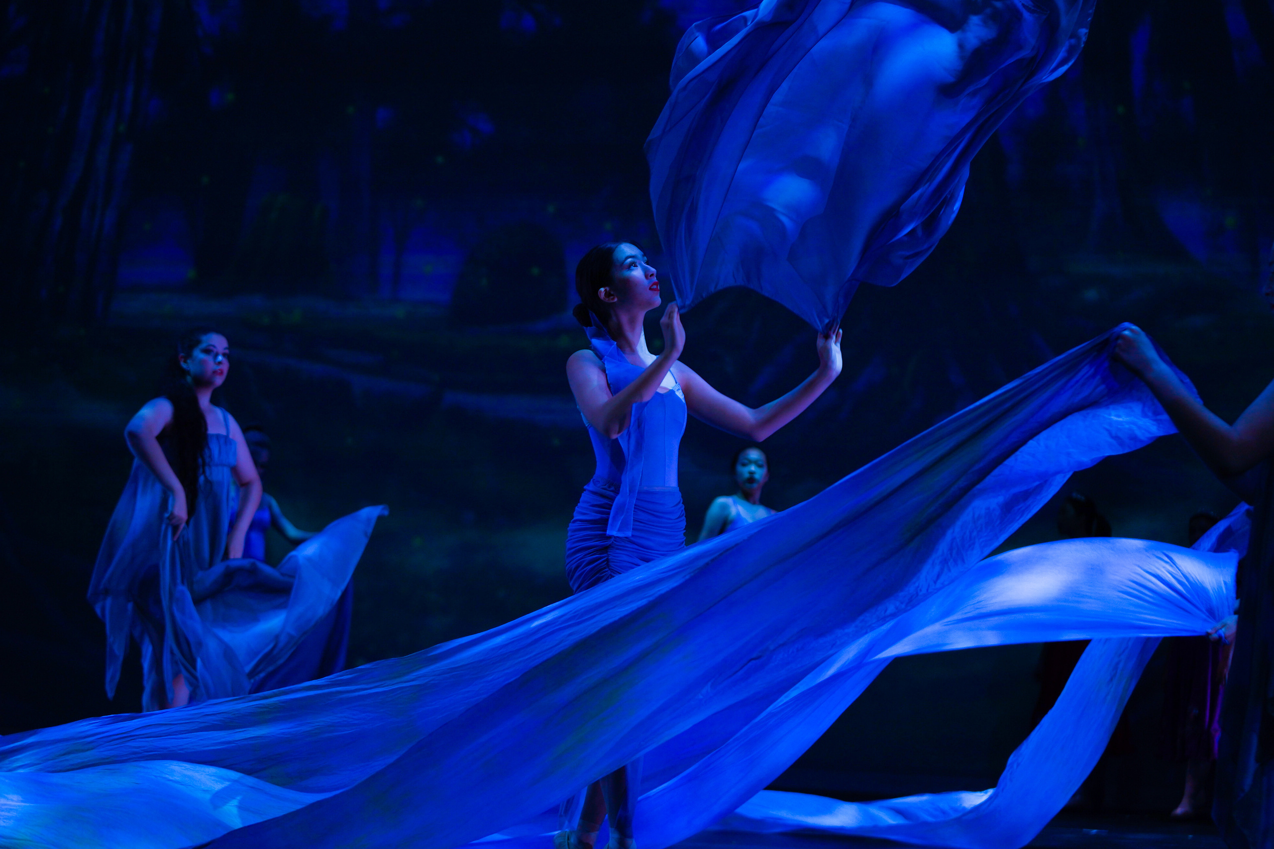 12 Dancing princesses. Santa Clarita Photographer