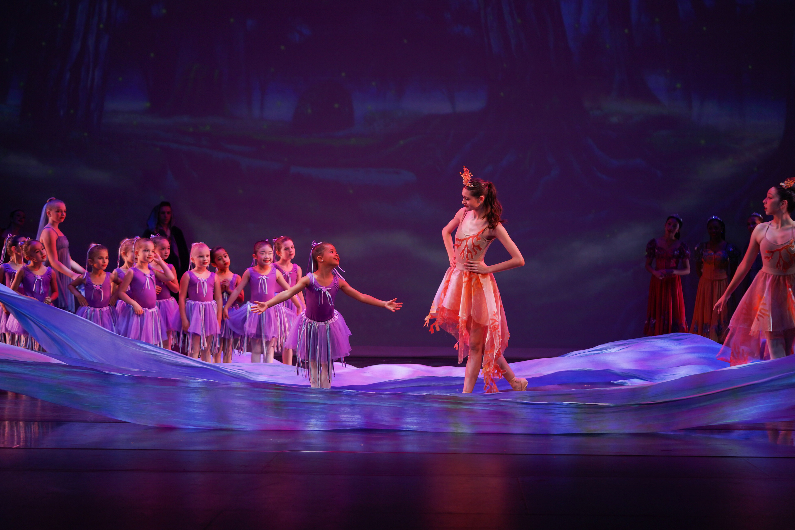 12 Dancing princesses. Santa Clarita Photographer